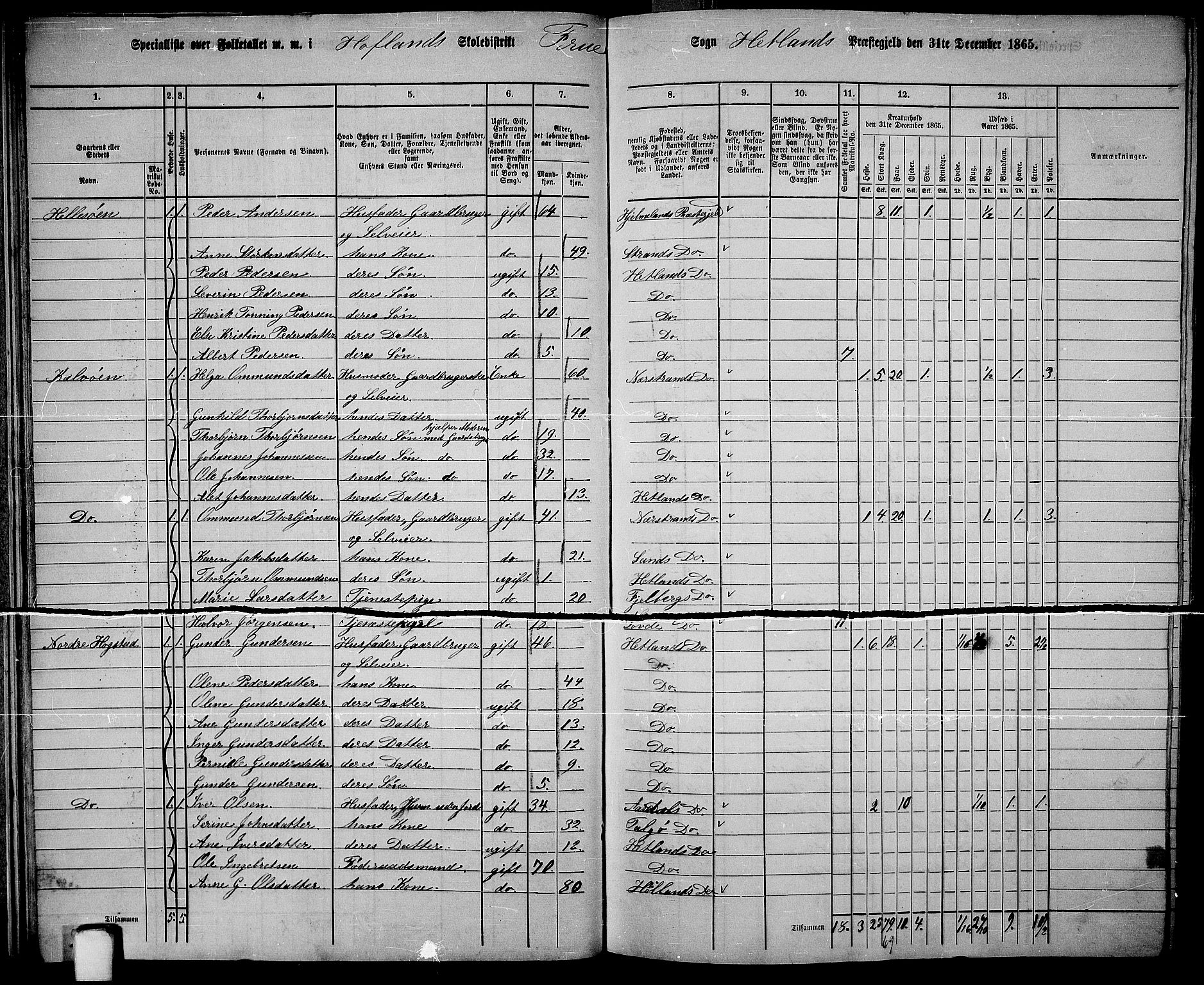 RA, 1865 census for Hetland, 1865, p. 25