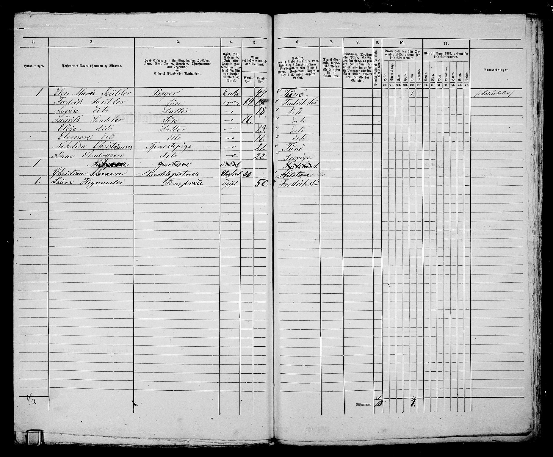 RA, 1865 census for Fredrikstad/Fredrikstad, 1865, p. 411