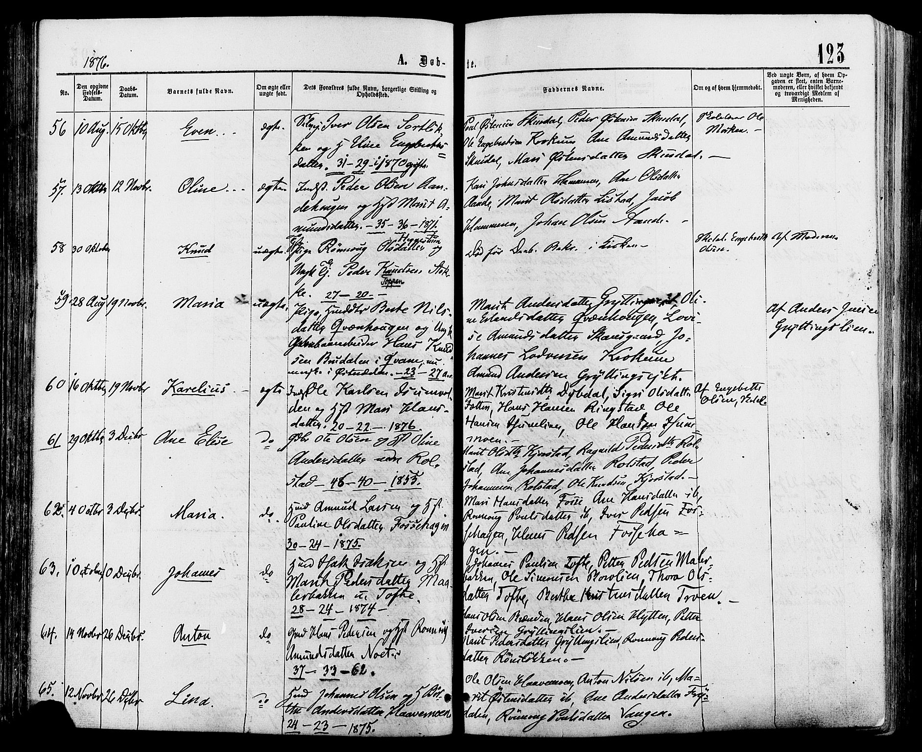 Sør-Fron prestekontor, AV/SAH-PREST-010/H/Ha/Haa/L0002: Parish register (official) no. 2, 1864-1880, p. 123