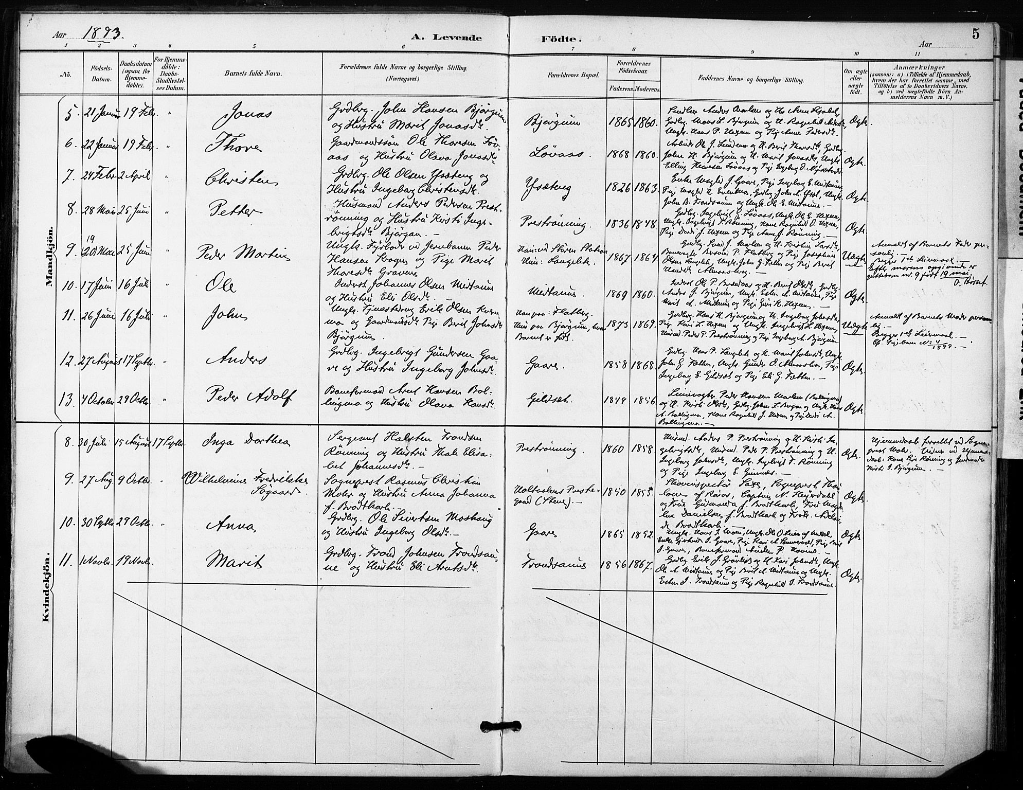 Ministerialprotokoller, klokkerbøker og fødselsregistre - Sør-Trøndelag, SAT/A-1456/685/L0973: Parish register (official) no. 685A10, 1891-1907, p. 5
