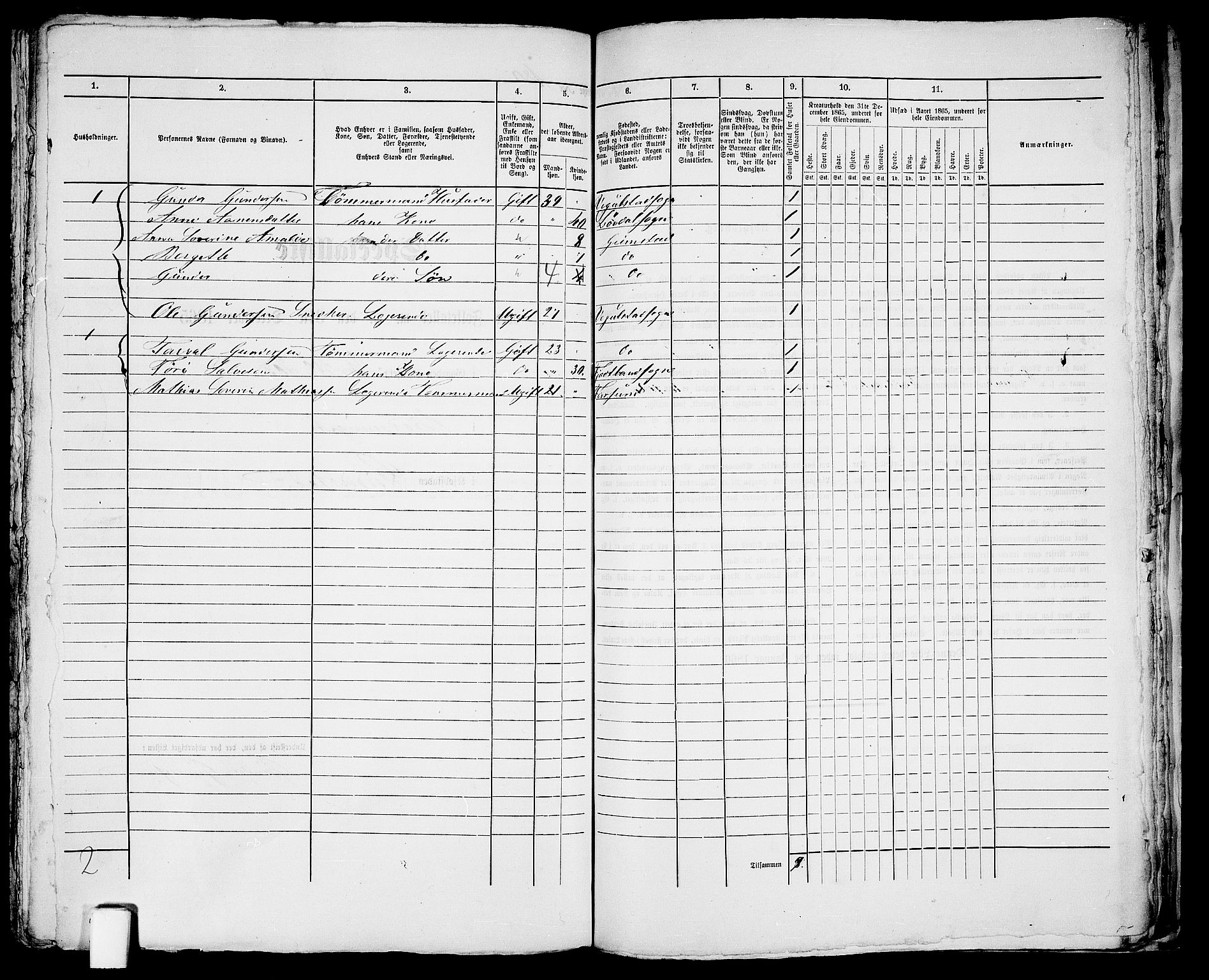 RA, 1865 census for Fjære/Grimstad, 1865, p. 367