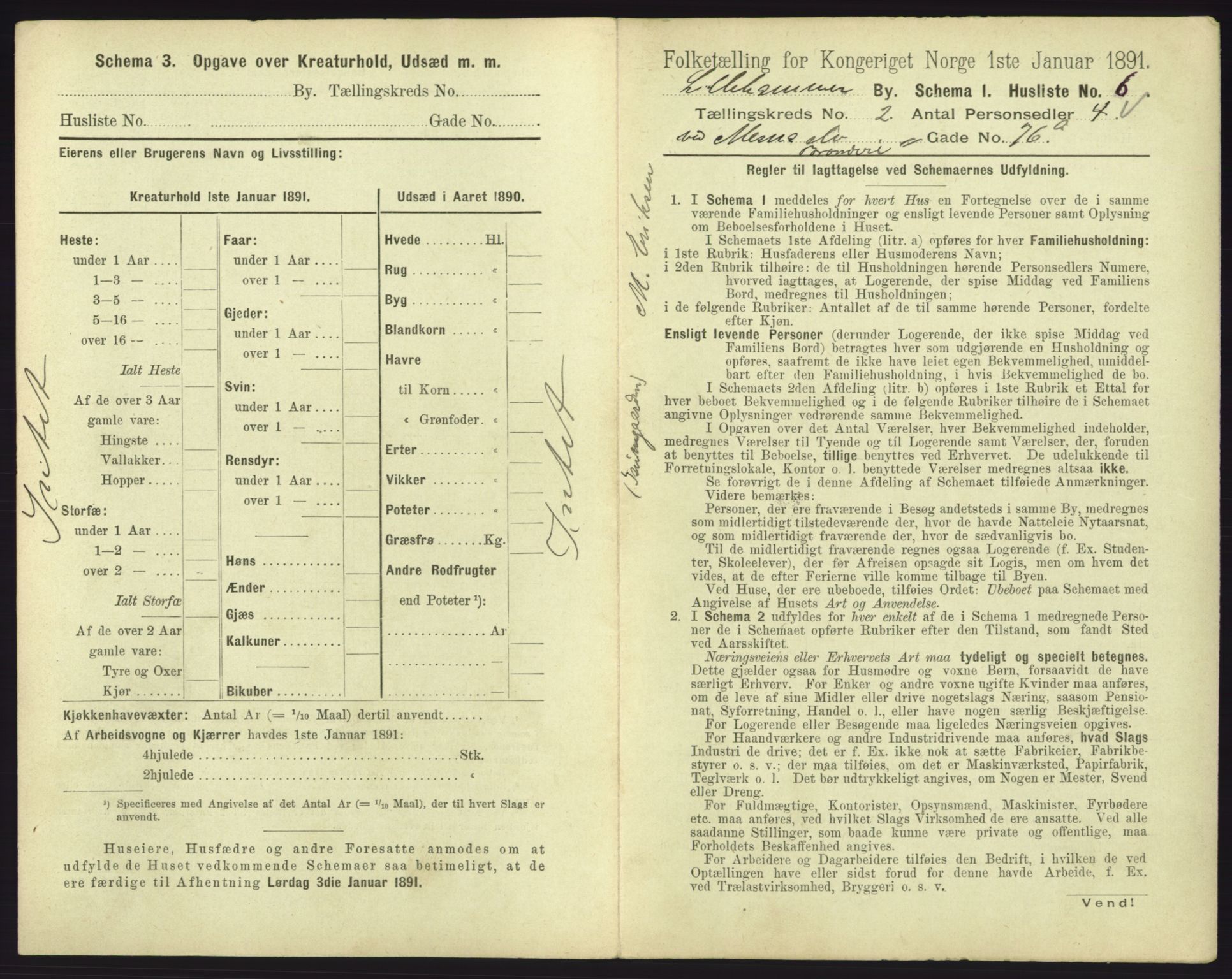 RA, 1891 census for 0501 Lillehammer, 1891, p. 221