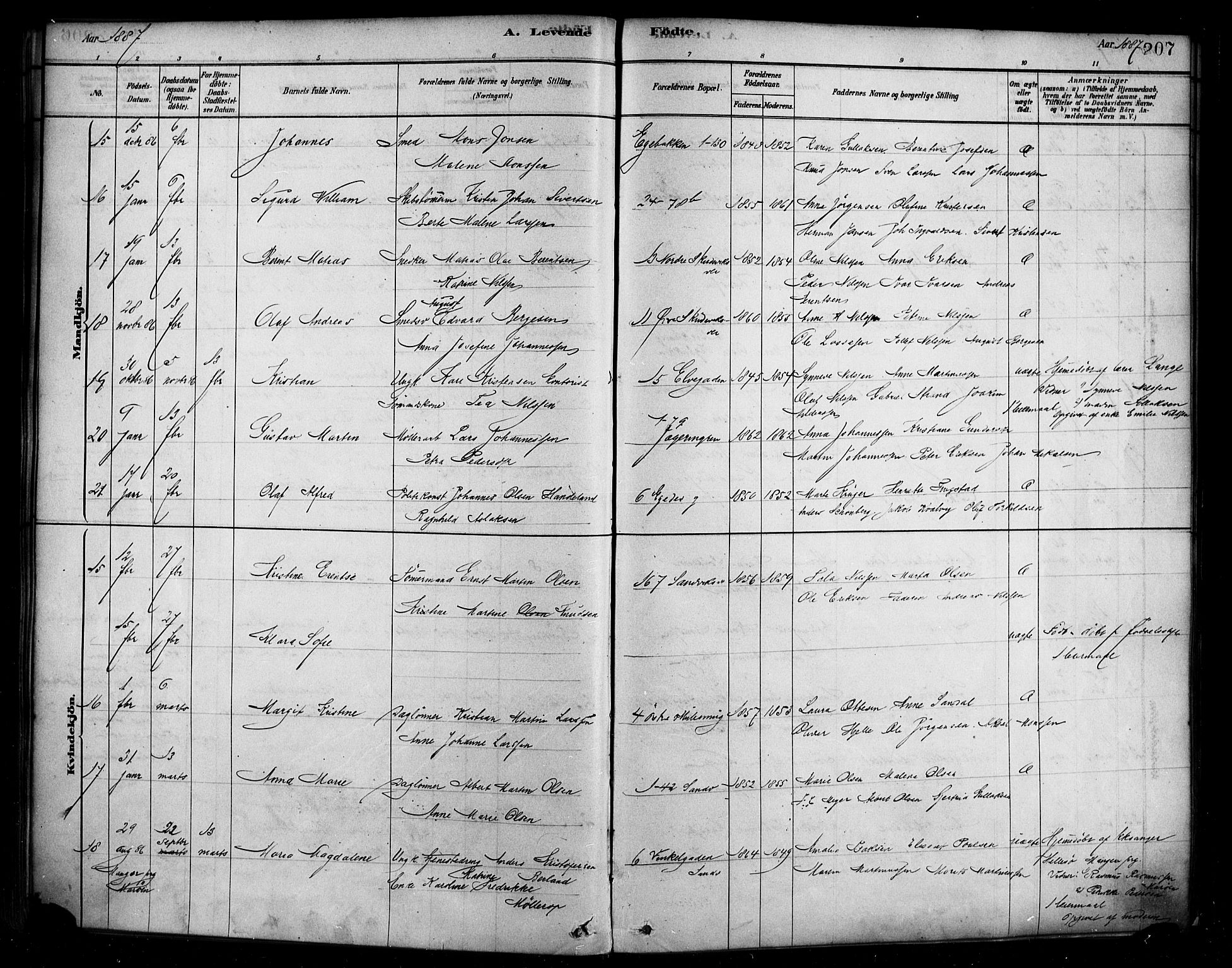 Sandviken Sokneprestembete, AV/SAB-A-77601/H/Ha/L0004: Parish register (official) no. B 1, 1878-1891, p. 207