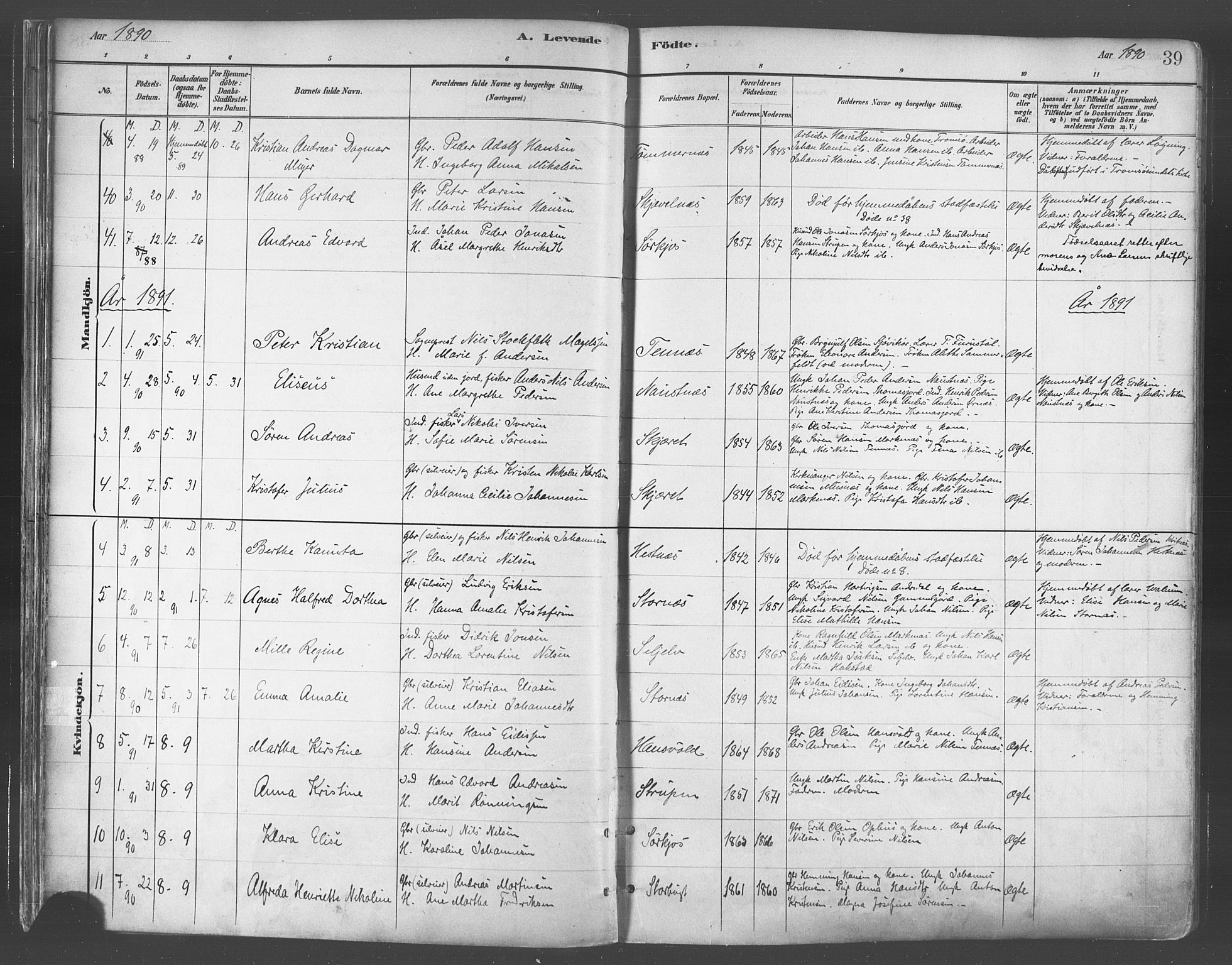 Balsfjord sokneprestembete, AV/SATØ-S-1303/G/Gaa/L0005kirke: Parish register (official) no. 5, 1884-1897, p. 39