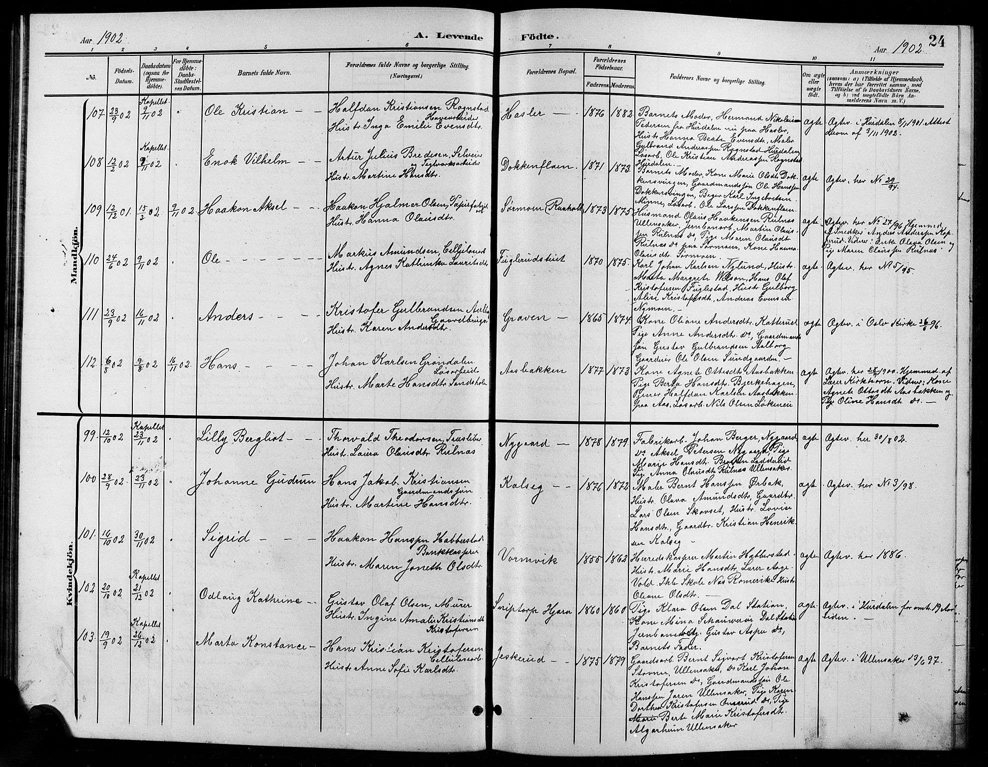 Eidsvoll prestekontor Kirkebøker, AV/SAO-A-10888/G/Ga/L0007: Parish register (copy) no. I 7, 1901-1909, p. 24