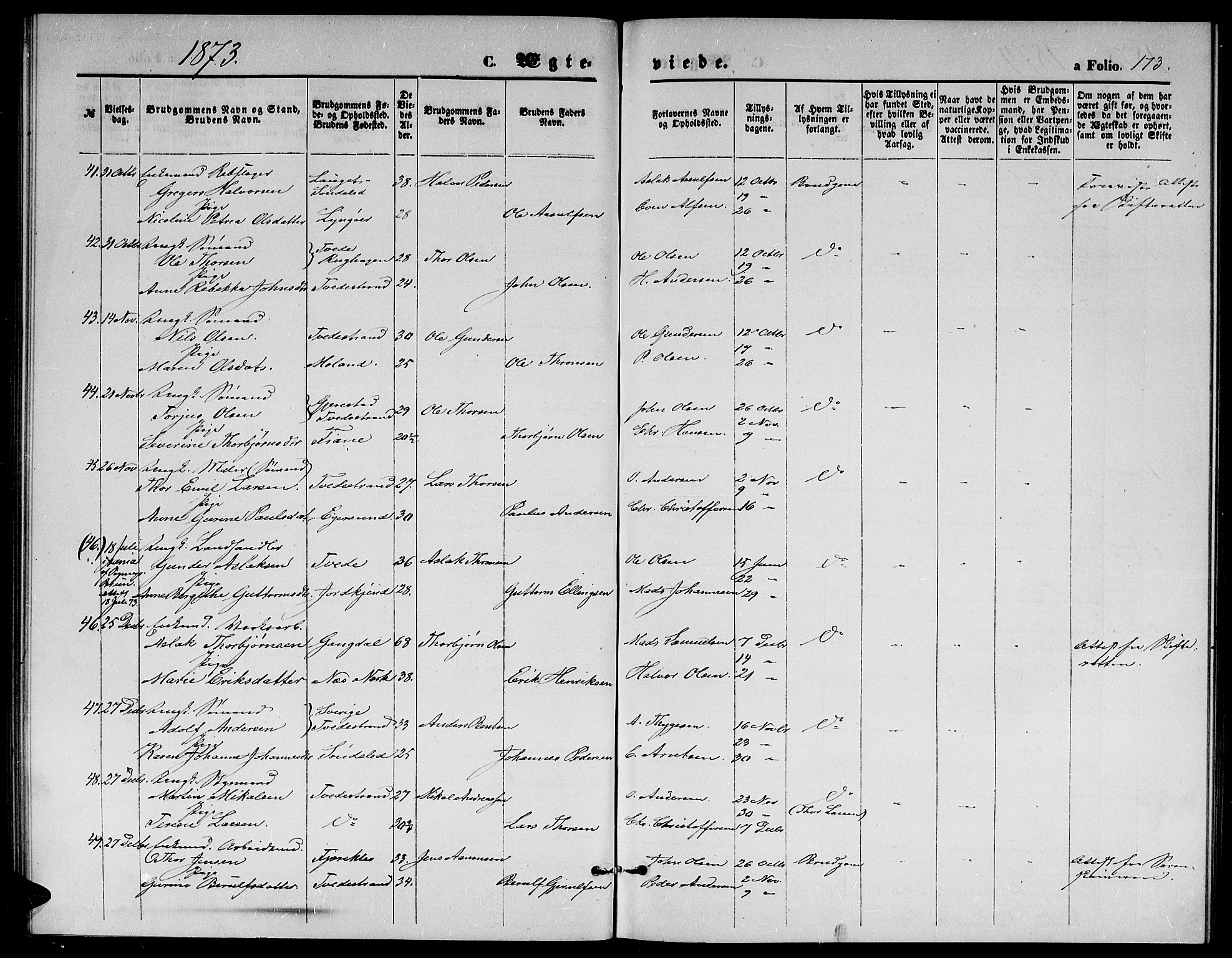 Holt sokneprestkontor, AV/SAK-1111-0021/F/Fb/L0009: Parish register (copy) no. B 9, 1871-1883, p. 173