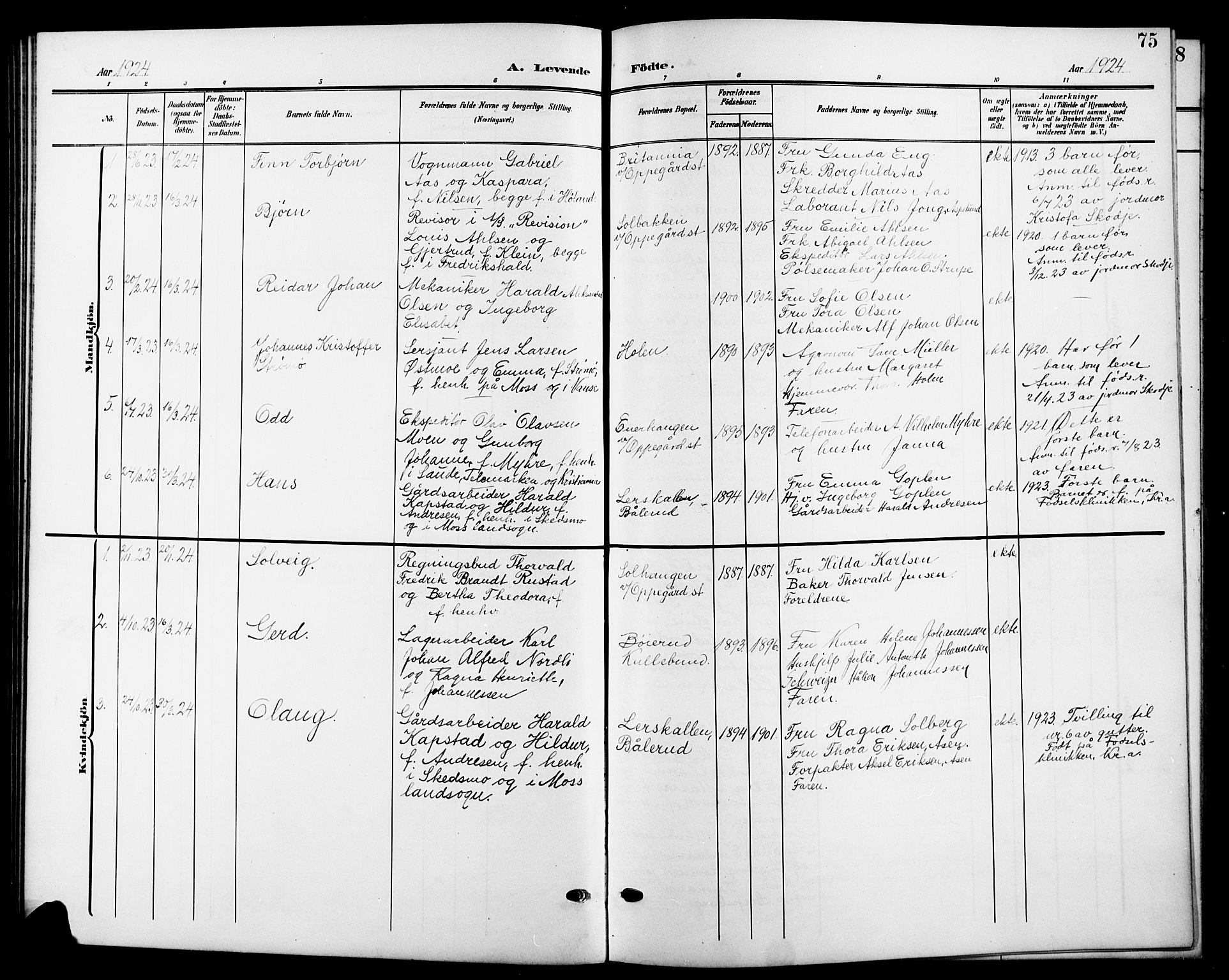 Nesodden prestekontor Kirkebøker, SAO/A-10013/G/Gb/L0001: Parish register (copy) no. II 1, 1905-1924, p. 75