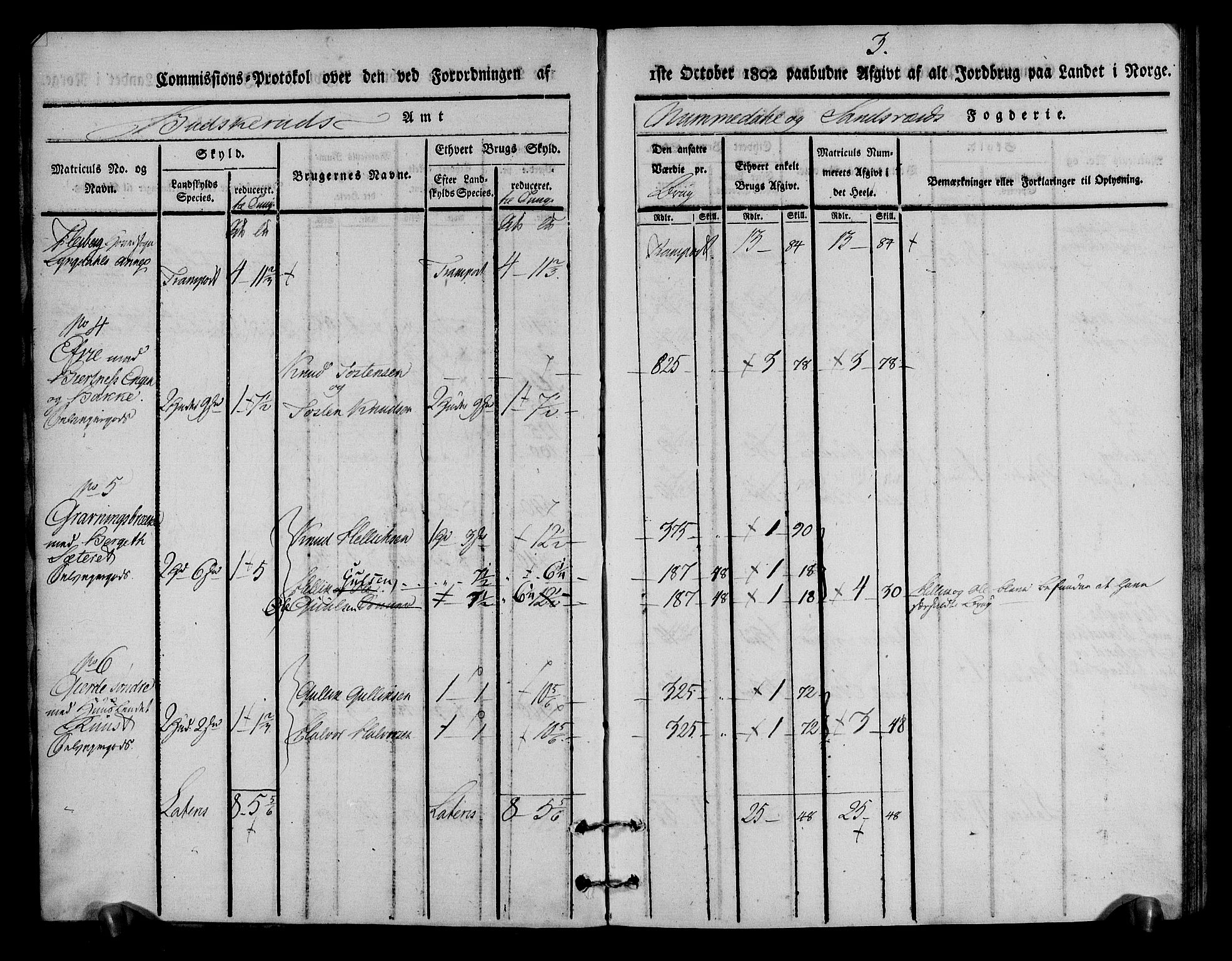 Rentekammeret inntil 1814, Realistisk ordnet avdeling, AV/RA-EA-4070/N/Ne/Nea/L0055: Numedal og Sandsvær fogderi. Kommisjonsprotokoll for Flesberg prestegjeld, 1803, p. 4