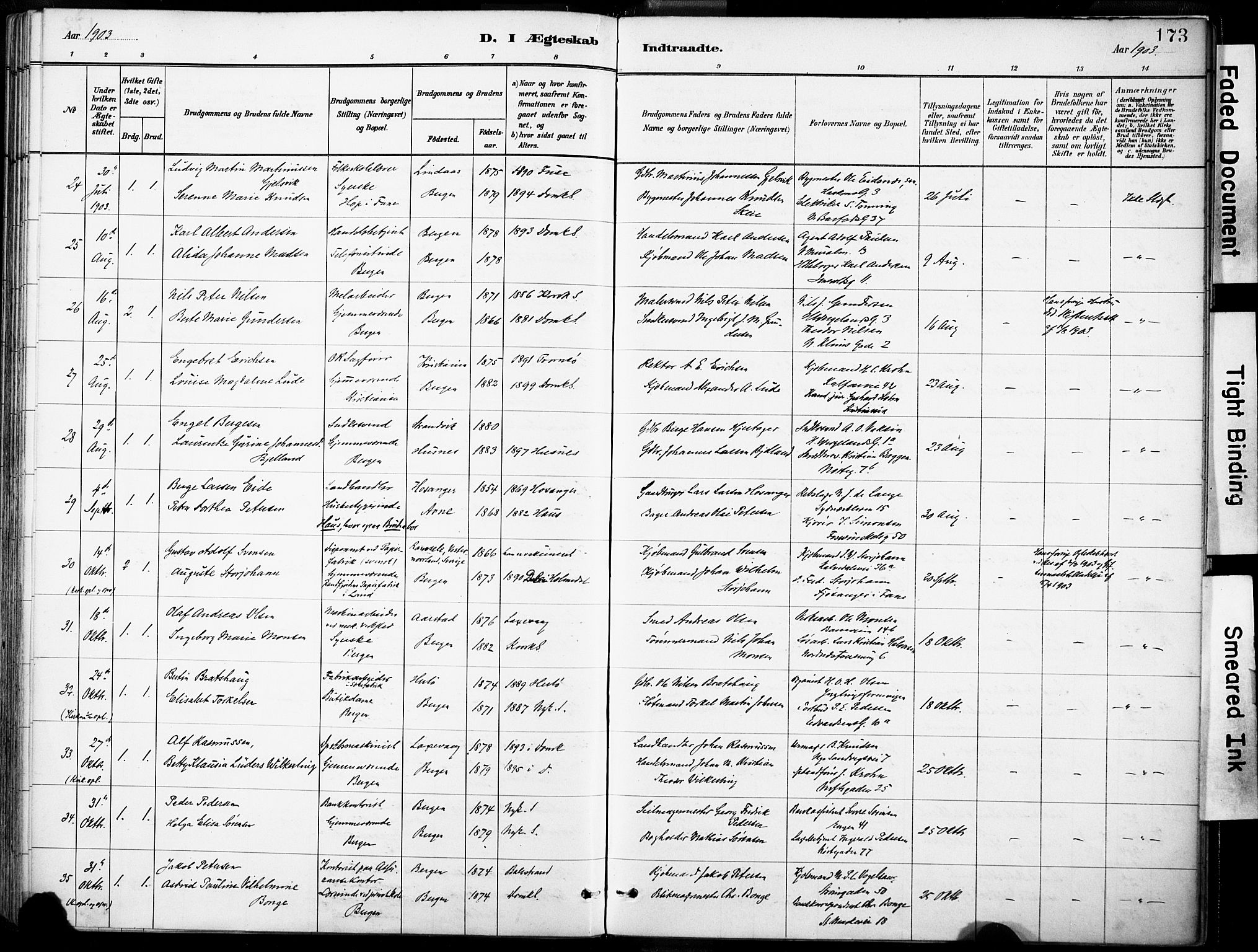 Domkirken sokneprestembete, AV/SAB-A-74801/H/Haa/L0037: Parish register (official) no. D 4, 1880-1907, p. 173