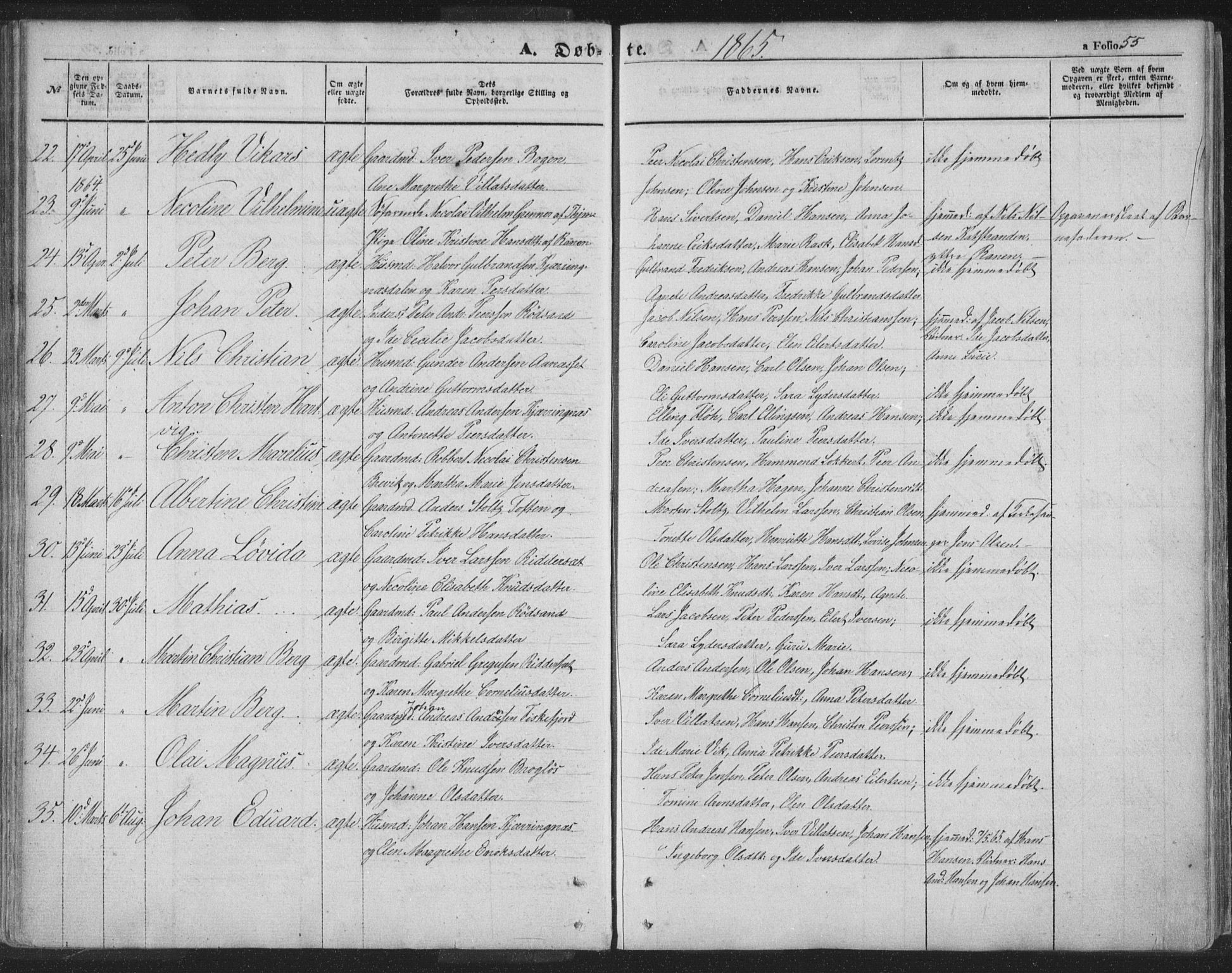 Ministerialprotokoller, klokkerbøker og fødselsregistre - Nordland, AV/SAT-A-1459/895/L1369: Parish register (official) no. 895A04, 1852-1872, p. 55