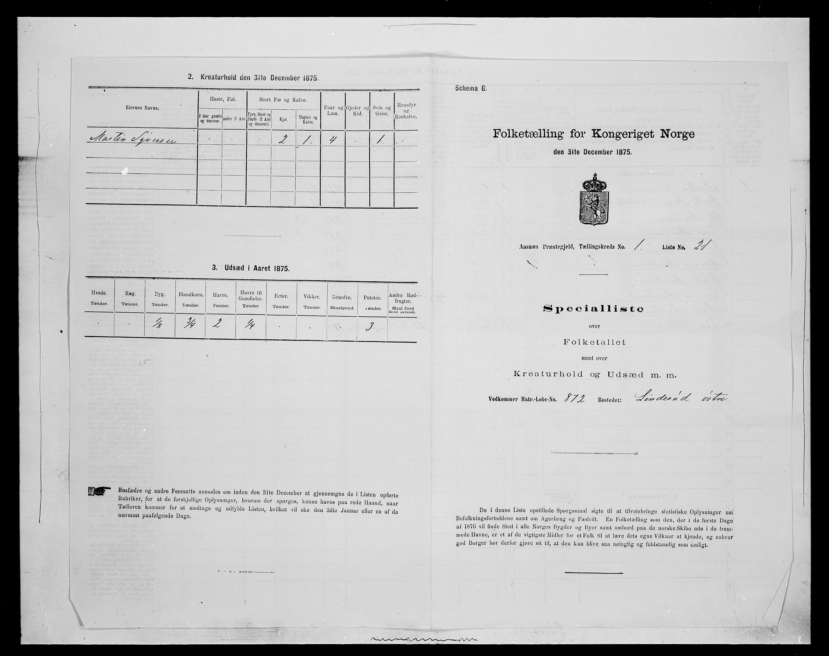 SAH, 1875 census for 0425P Åsnes, 1875, p. 54