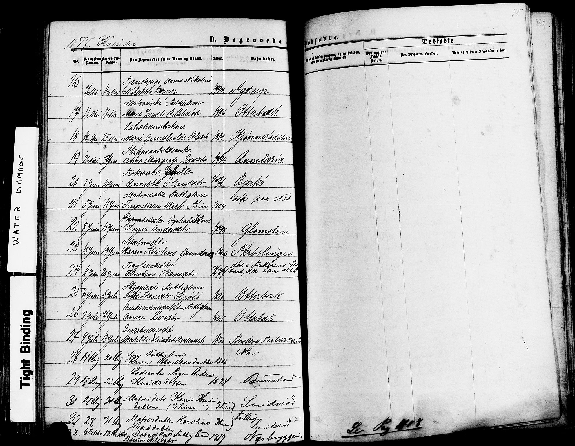 Nøtterøy kirkebøker, AV/SAKO-A-354/F/Fa/L0007: Parish register (official) no. I 7, 1865-1877, p. 365