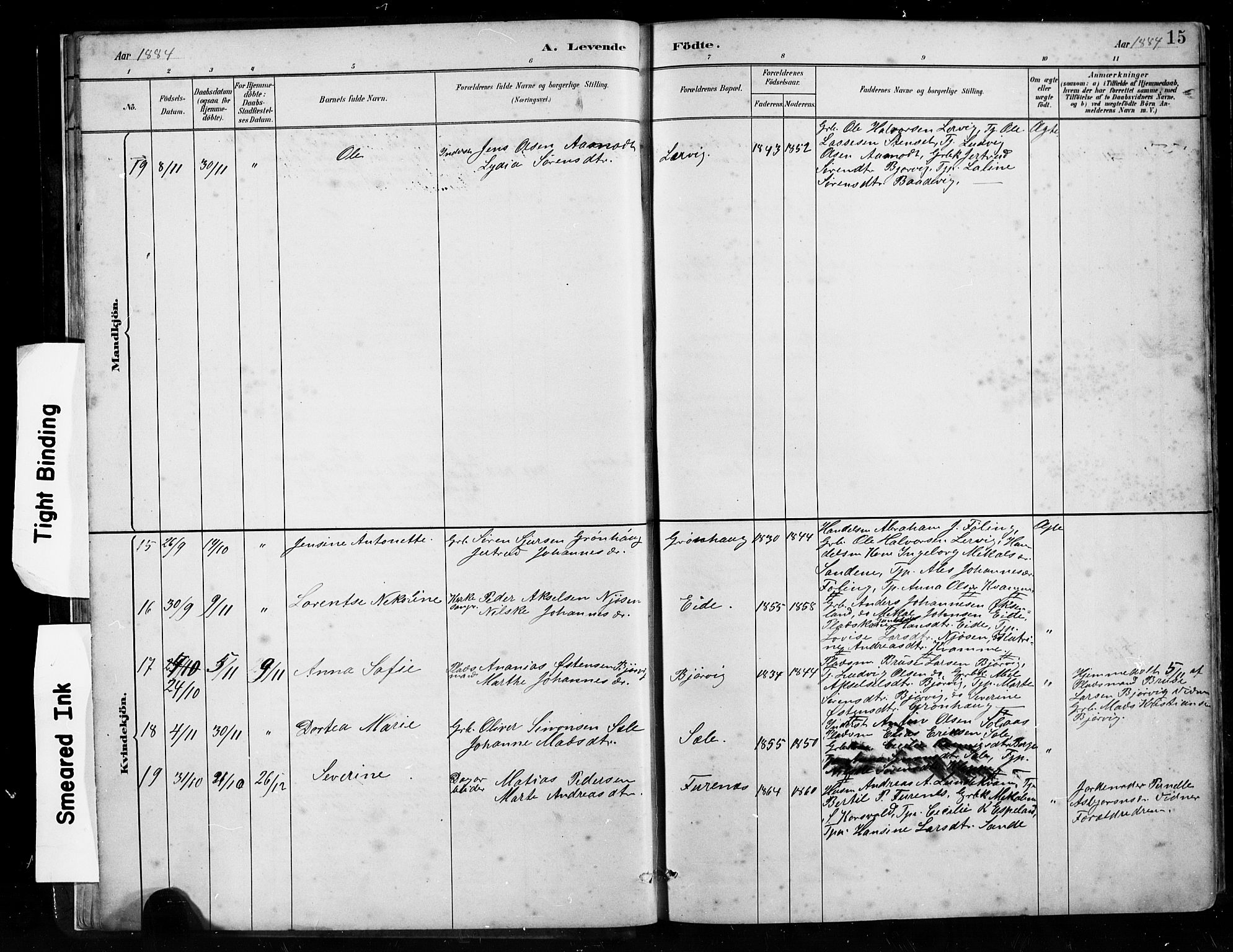 Gaular sokneprestembete, AV/SAB-A-80001/H/Hab: Parish register (copy) no. B 3, 1882-1913, p. 15