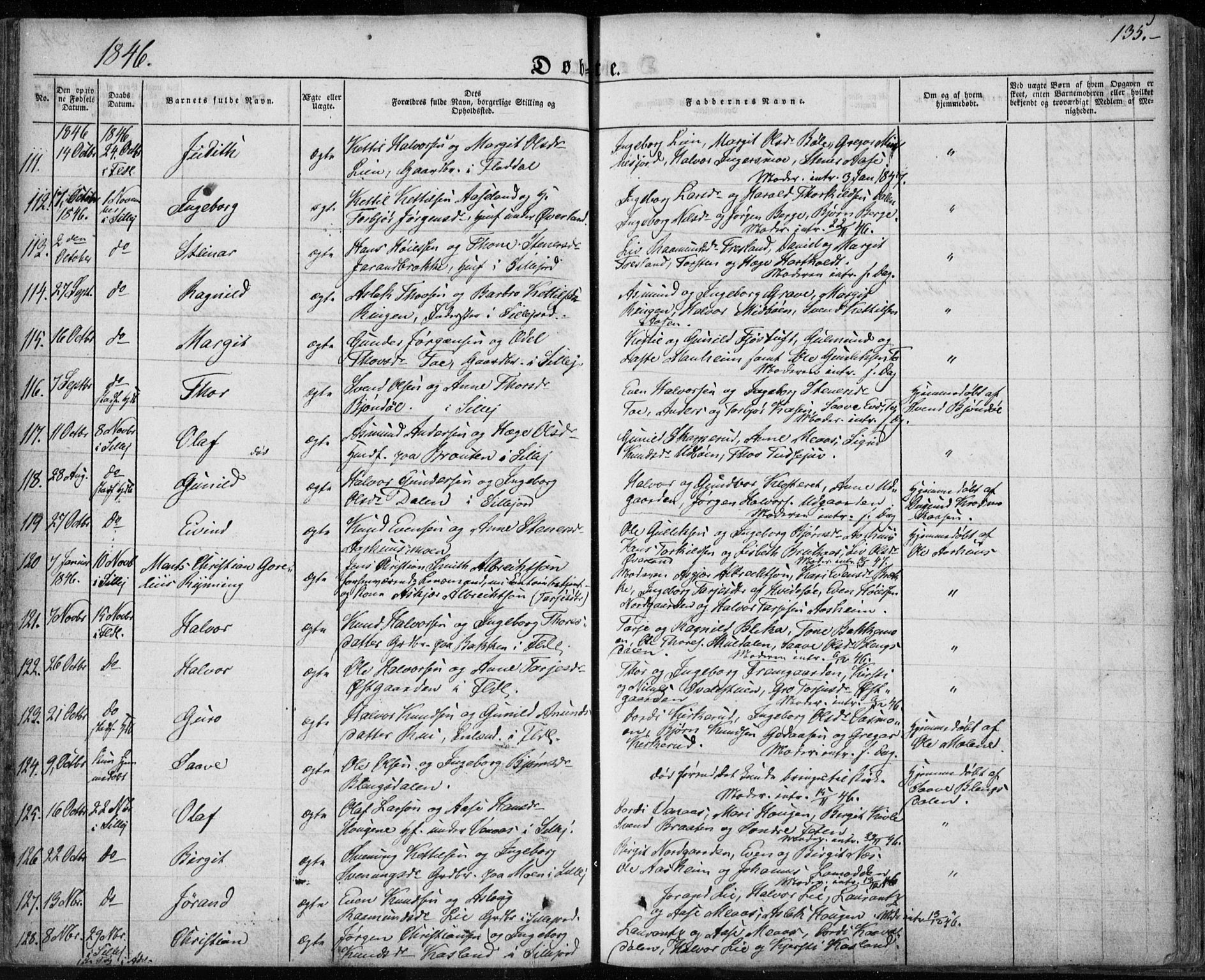 Seljord kirkebøker, SAKO/A-20/F/Fa/L0011: Parish register (official) no. I 11, 1831-1849, p. 135
