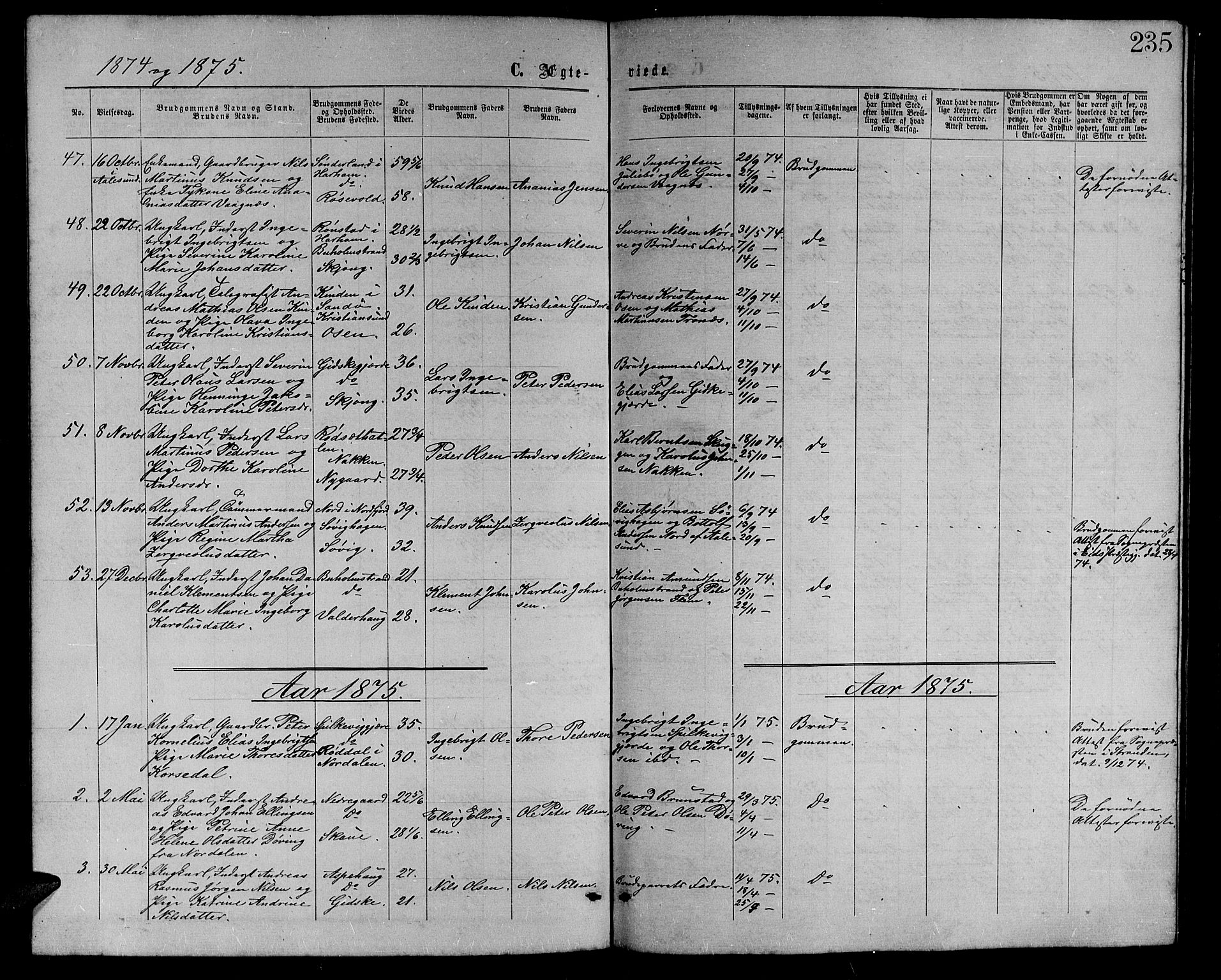 Ministerialprotokoller, klokkerbøker og fødselsregistre - Møre og Romsdal, AV/SAT-A-1454/528/L0428: Parish register (copy) no. 528C09, 1864-1880, p. 235