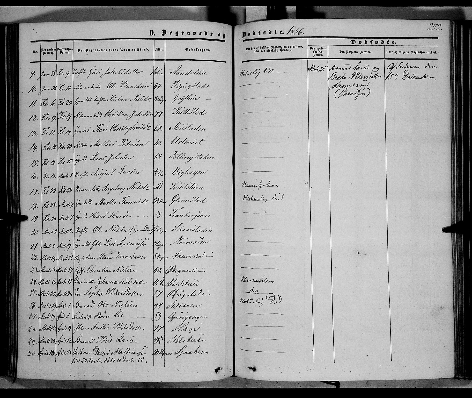 Vardal prestekontor, SAH/PREST-100/H/Ha/Haa/L0006: Parish register (official) no. 6, 1854-1866, p. 252