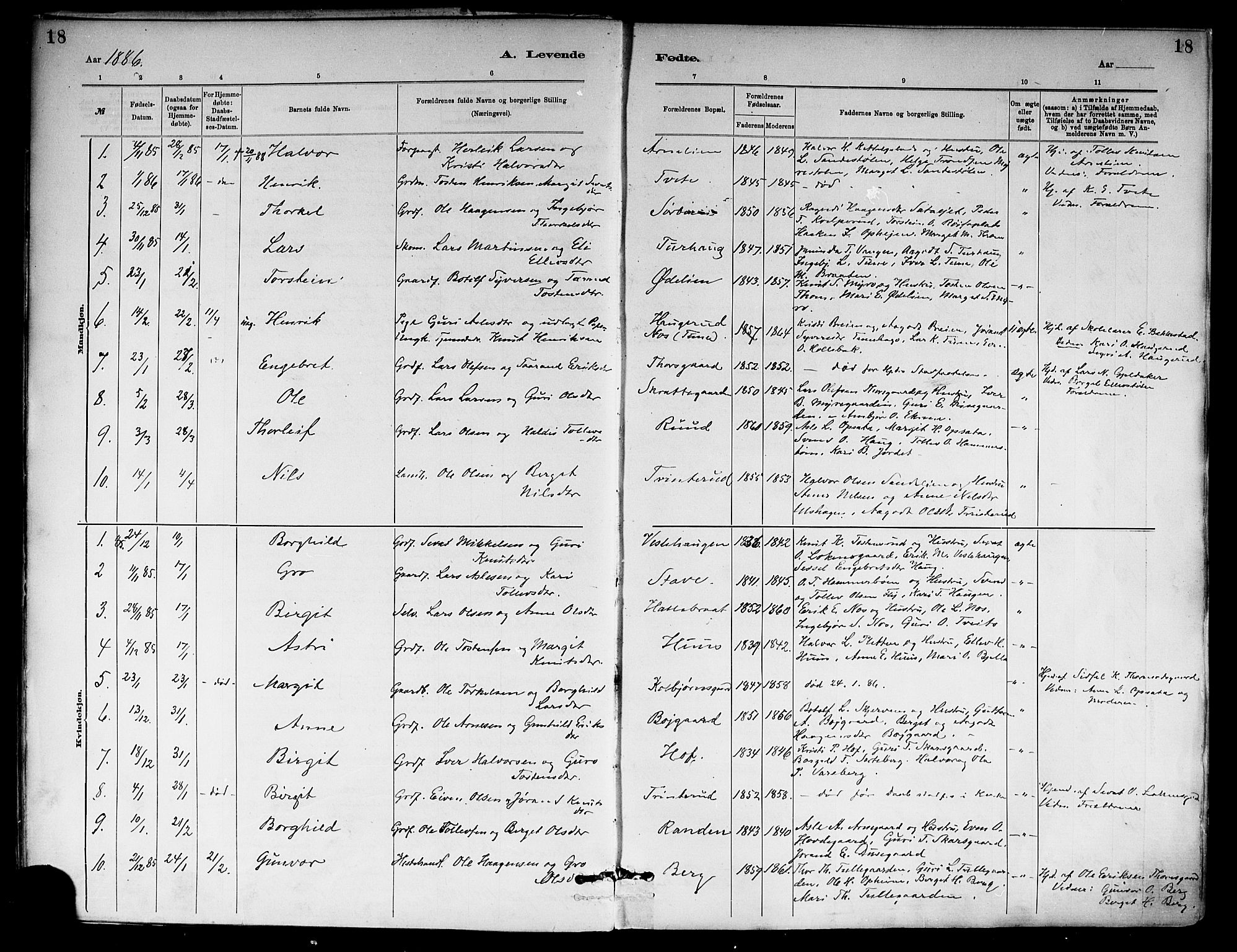 Ål kirkebøker, SAKO/A-249/F/Fa/L0008: Parish register (official) no. I 8, 1882-1896, p. 18