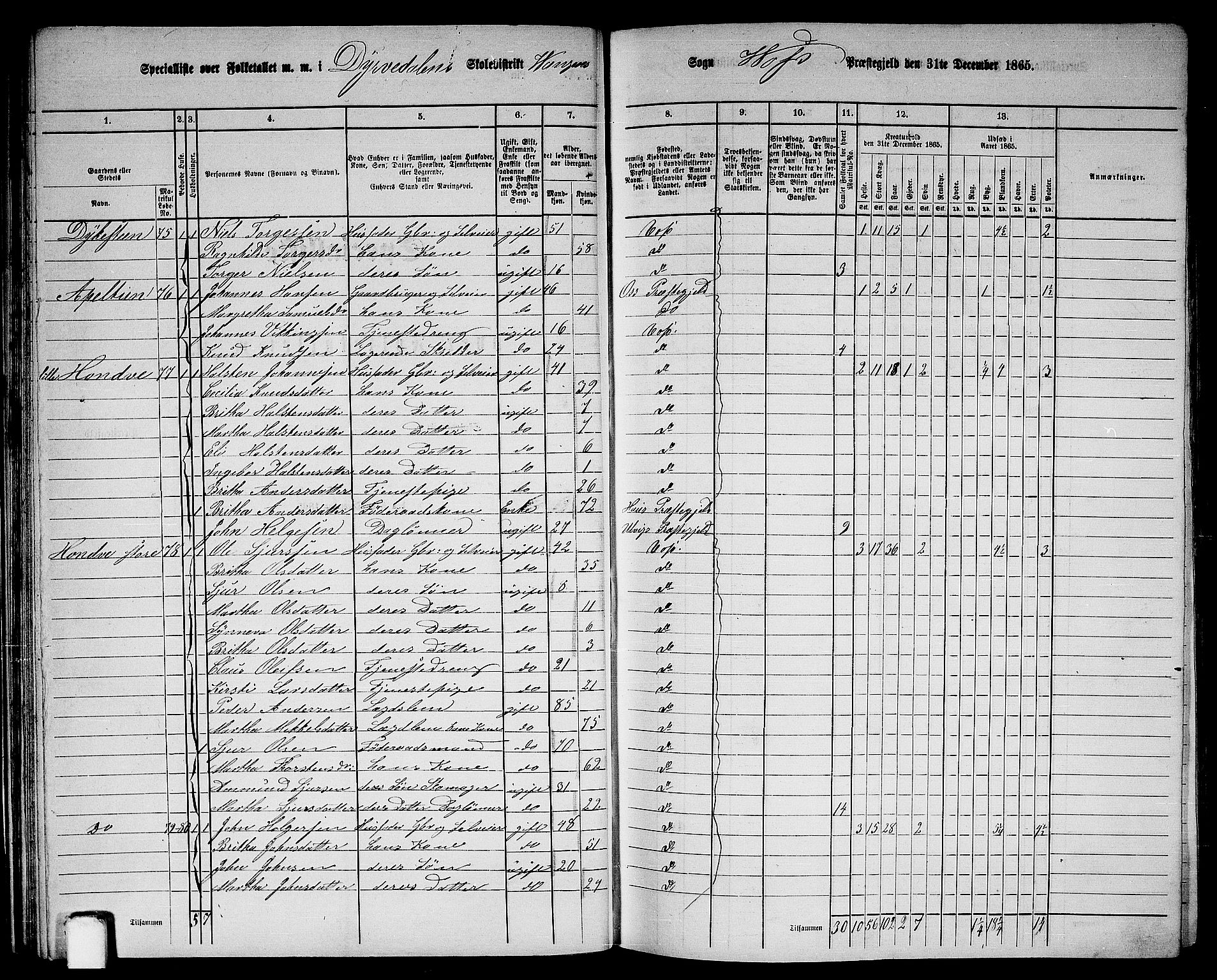 RA, 1865 census for Voss, 1865, p. 40