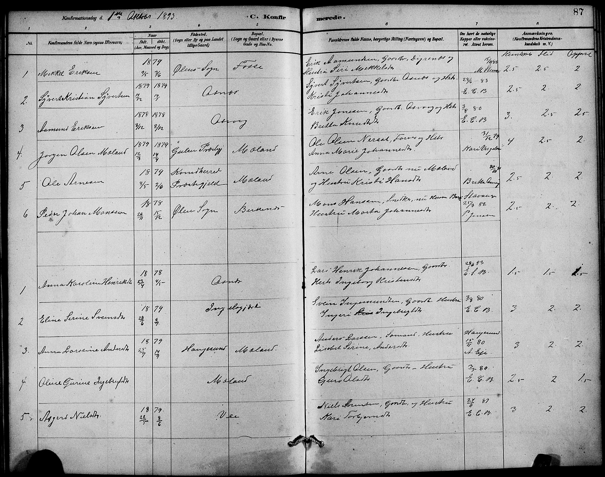 Etne sokneprestembete, SAB/A-75001/H/Hab: Parish register (copy) no. B 4, 1879-1897, p. 87