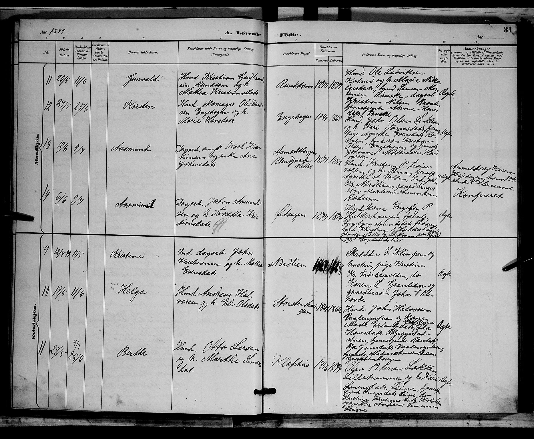 Østre Gausdal prestekontor, AV/SAH-PREST-092/H/Ha/Hab/L0002: Parish register (copy) no. 2, 1894-1904, p. 31