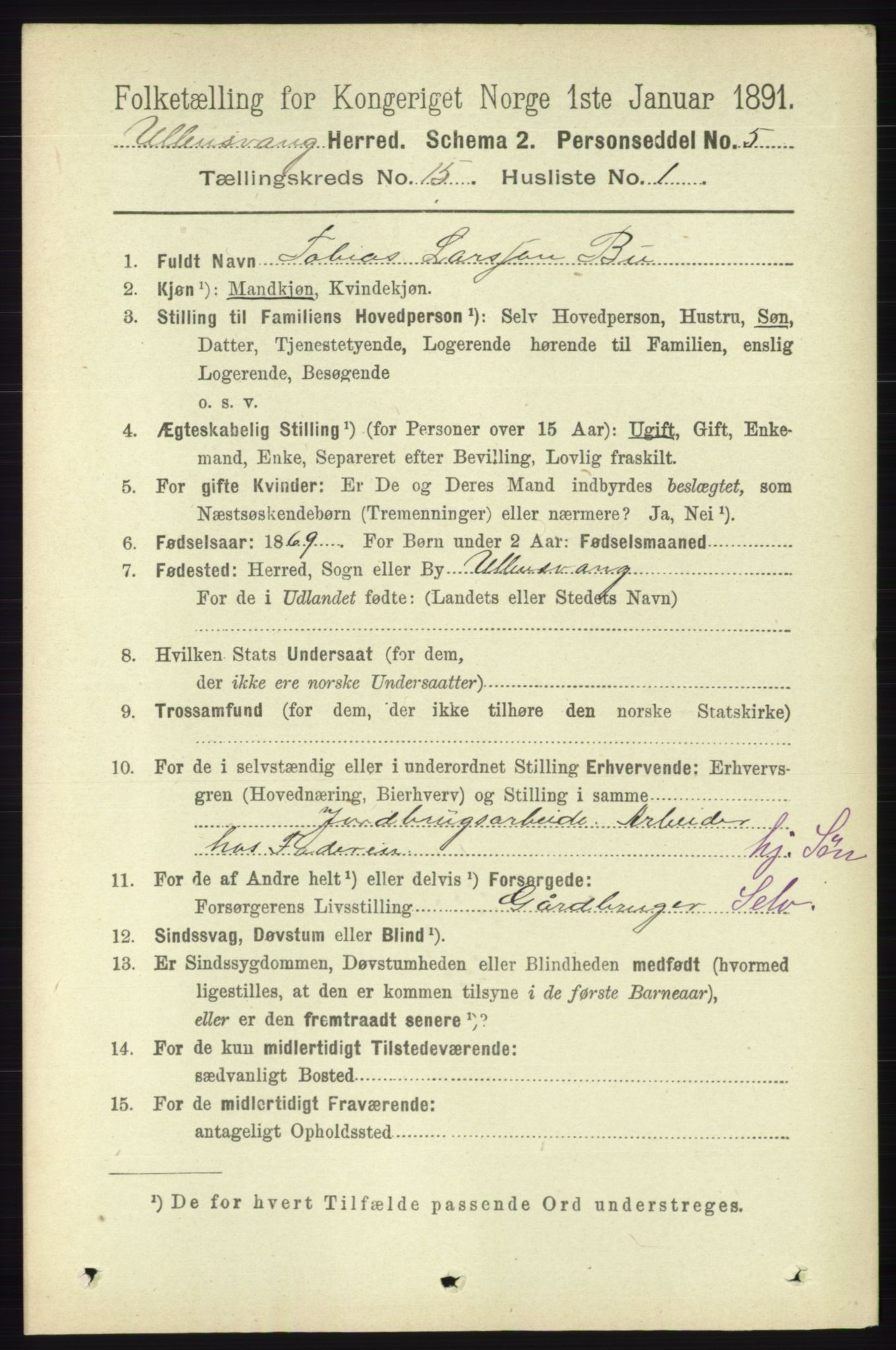 RA, 1891 census for 1230 Ullensvang, 1891, p. 5905