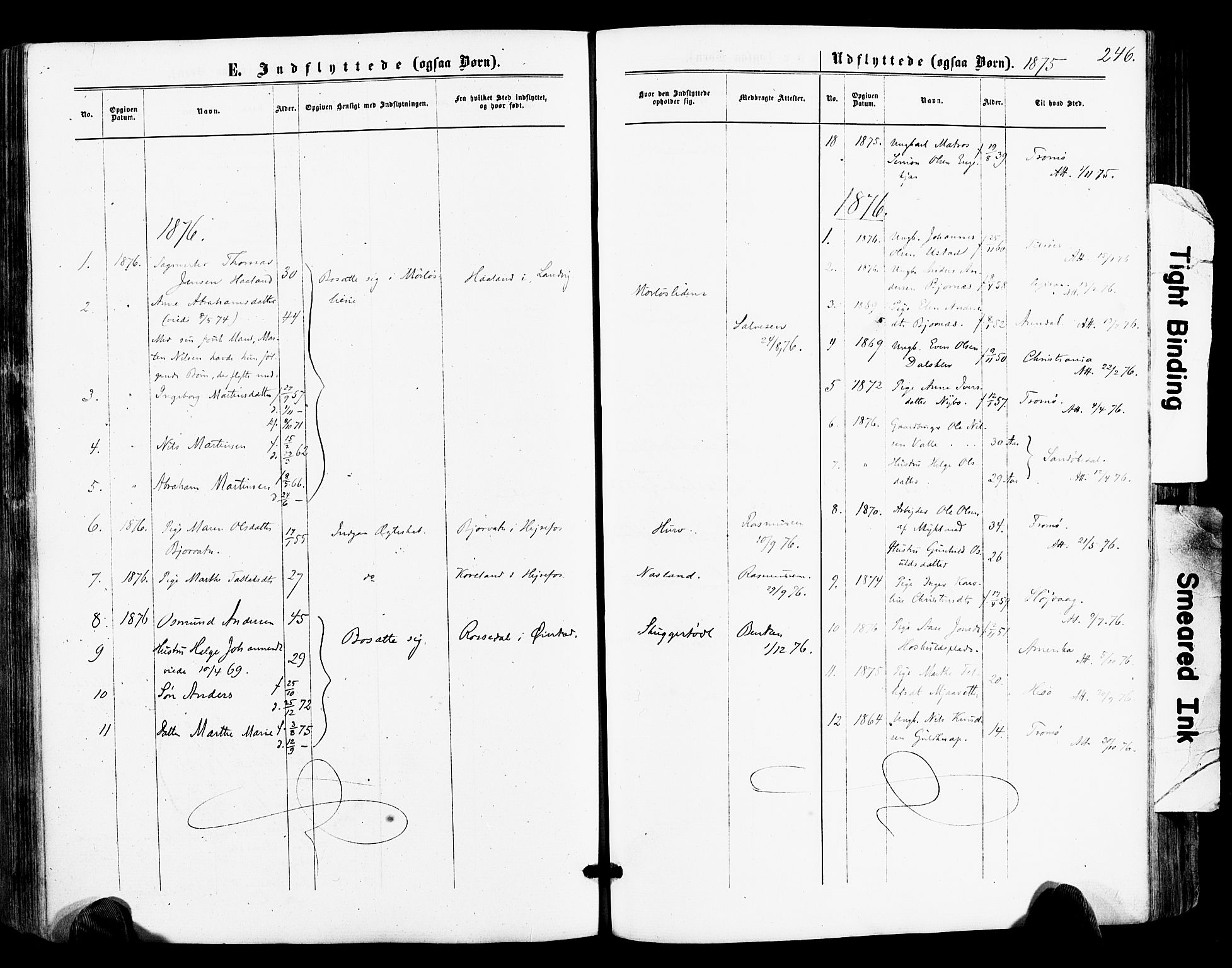 Froland sokneprestkontor, AV/SAK-1111-0013/F/Fa/L0003: Parish register (official) no. A 3, 1864-1881, p. 246