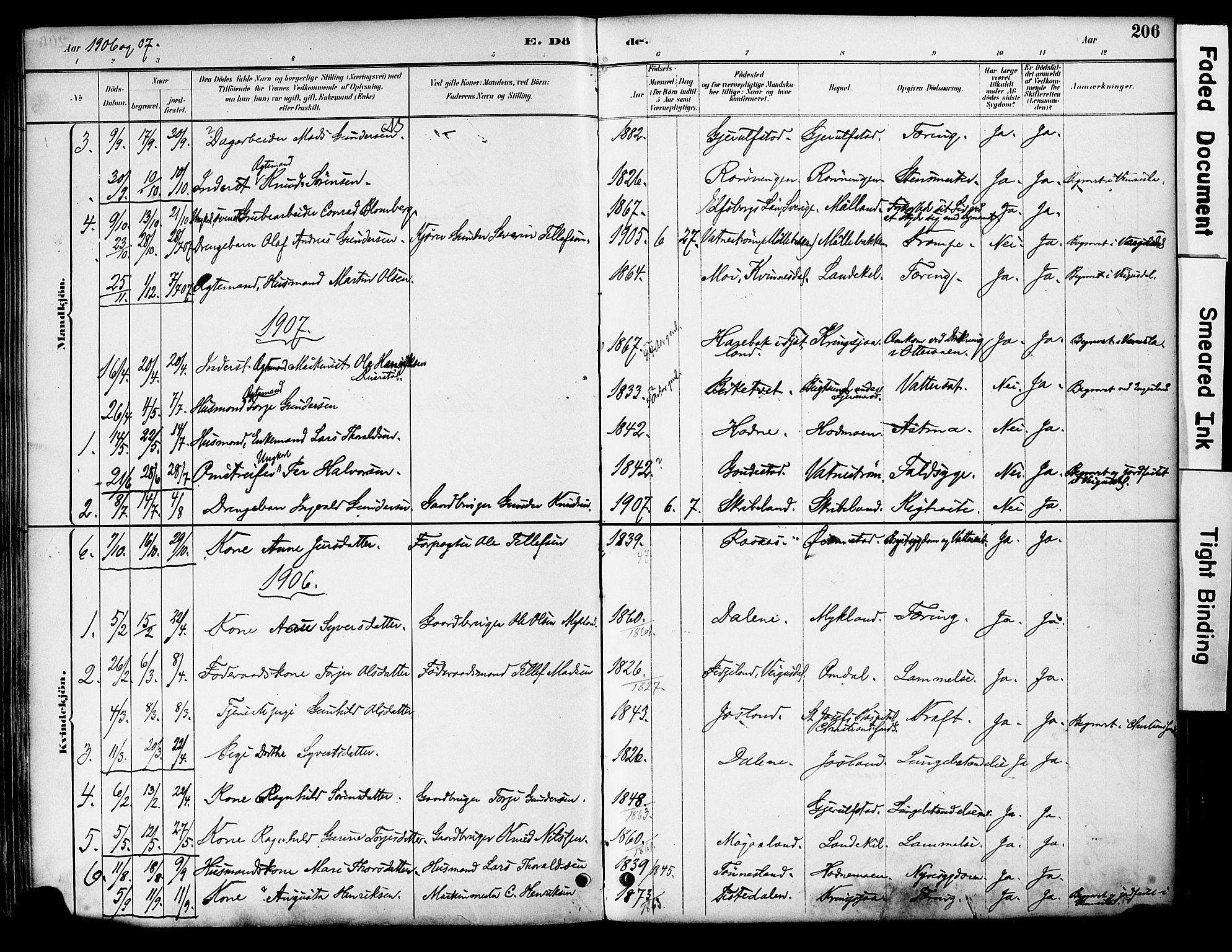 Evje sokneprestkontor, AV/SAK-1111-0008/F/Fa/Fac/L0003: Parish register (official) no. A 3, 1884-1909, p. 206