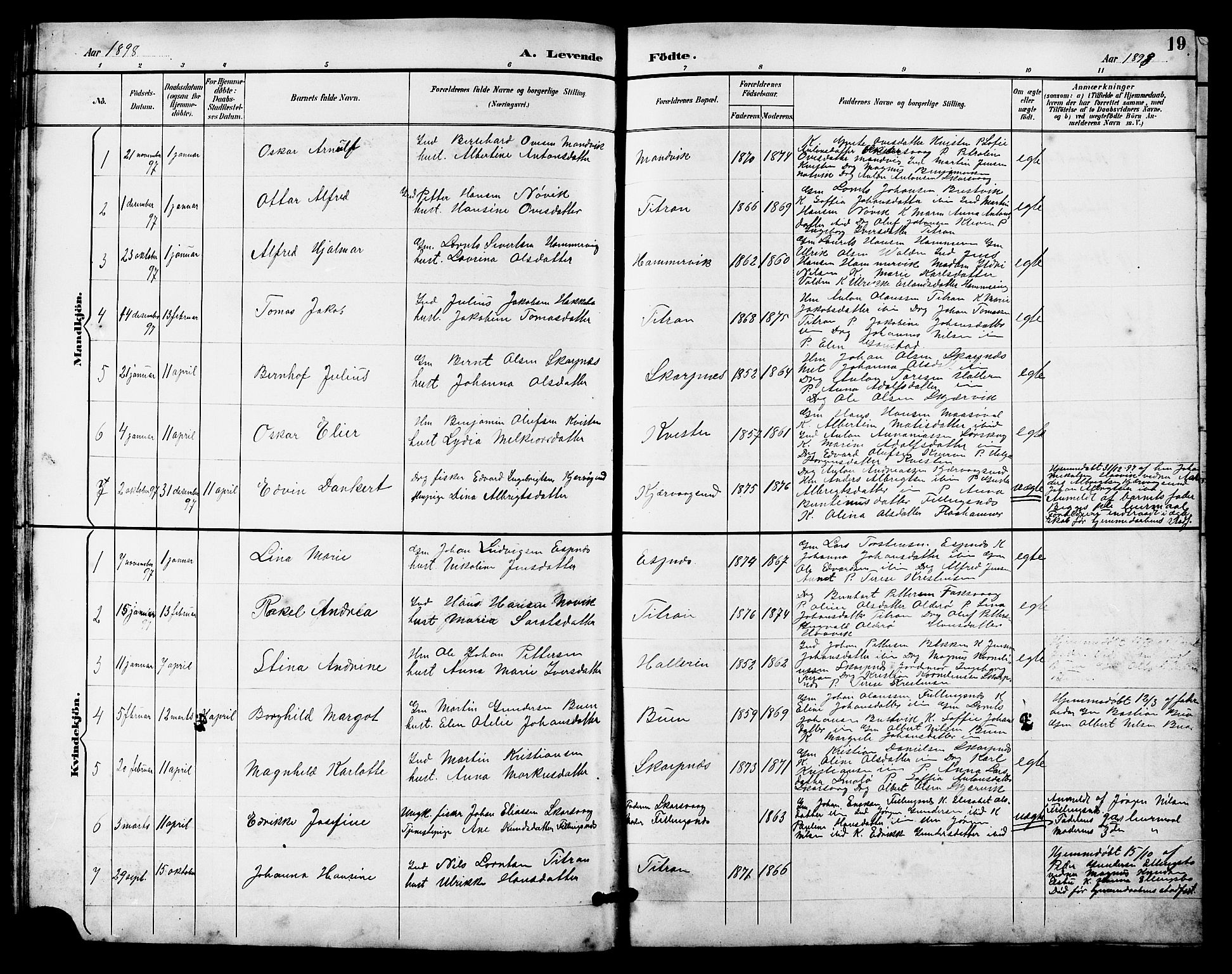 Ministerialprotokoller, klokkerbøker og fødselsregistre - Sør-Trøndelag, SAT/A-1456/641/L0598: Parish register (copy) no. 641C02, 1893-1910, p. 19