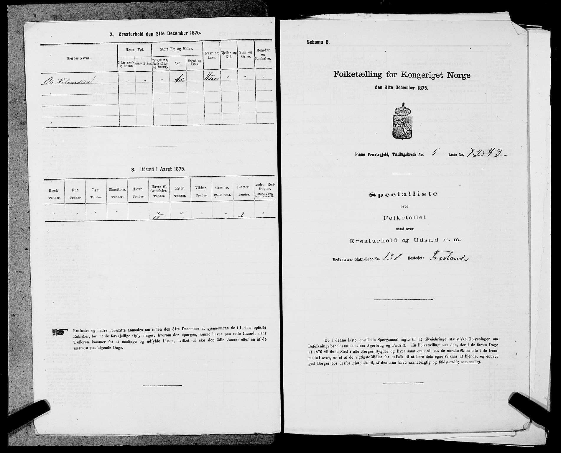 SAST, 1875 census for 1141P Finnøy, 1875, p. 550