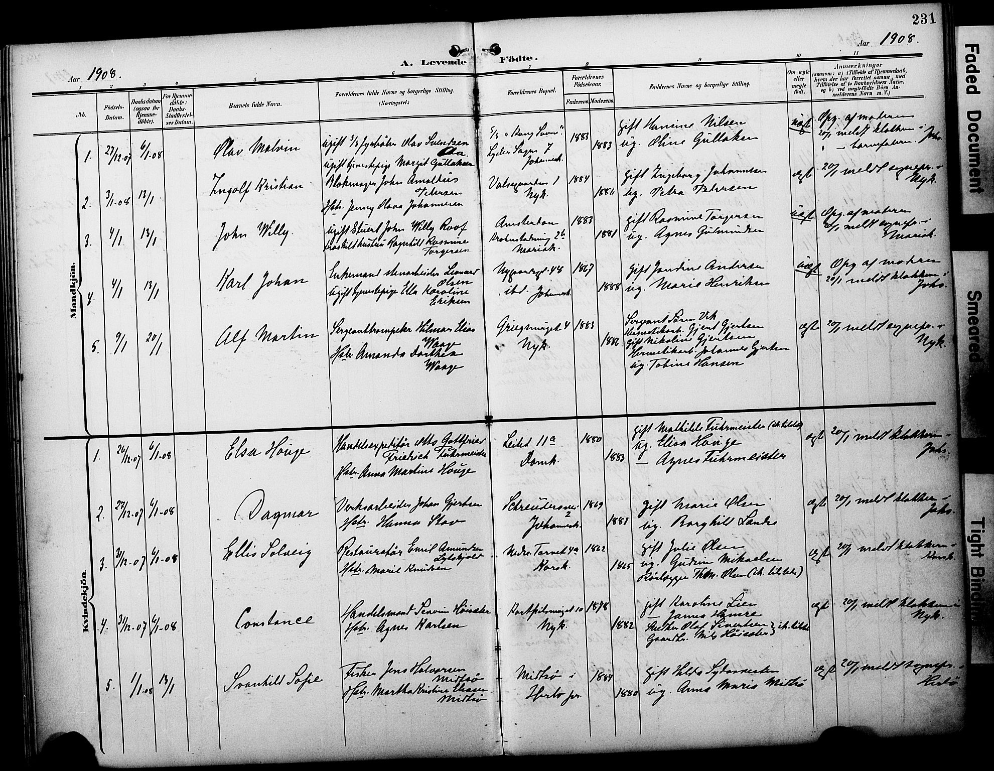 Fødselsstiftelsens sokneprestembete*, SAB/-: Parish register (official) no. A 3, 1901-1910, p. 231