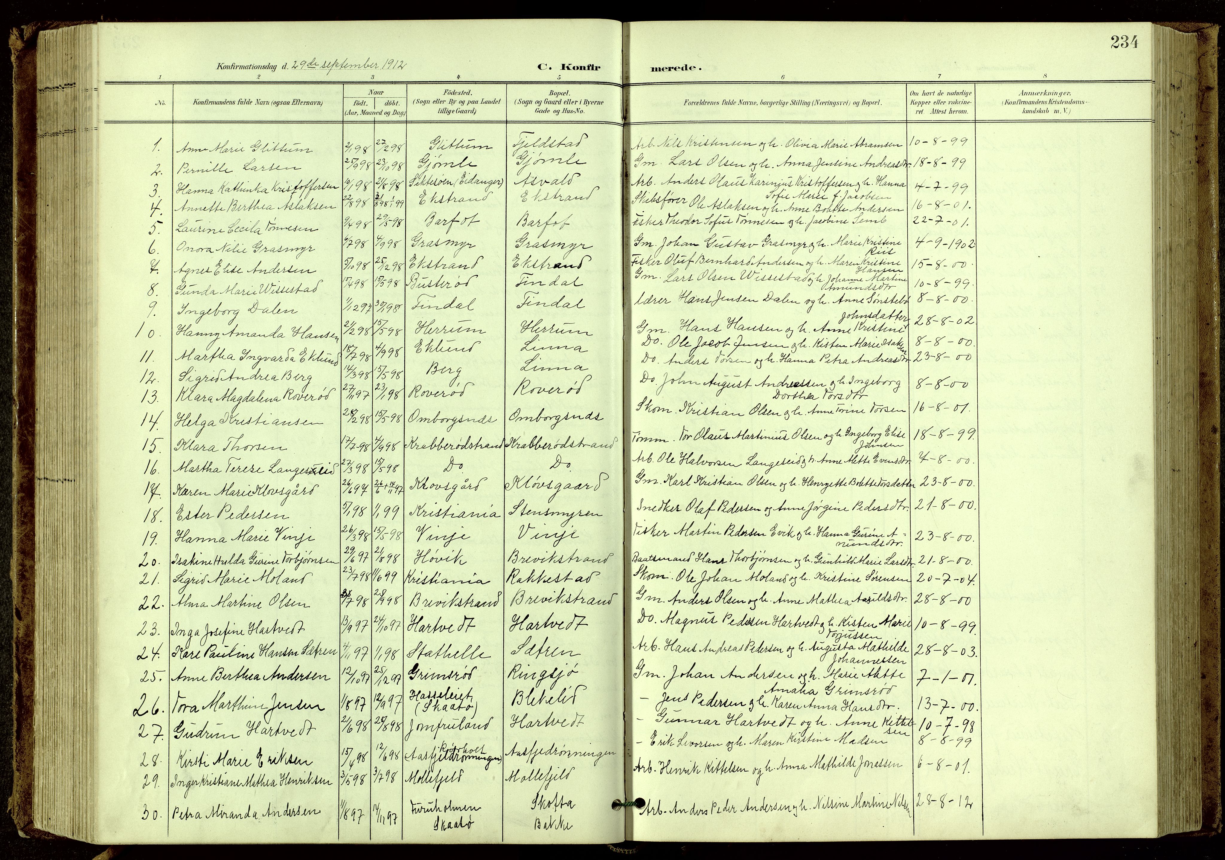 Bamble kirkebøker, SAKO/A-253/G/Ga/L0010: Parish register (copy) no. I 10, 1901-1919, p. 234