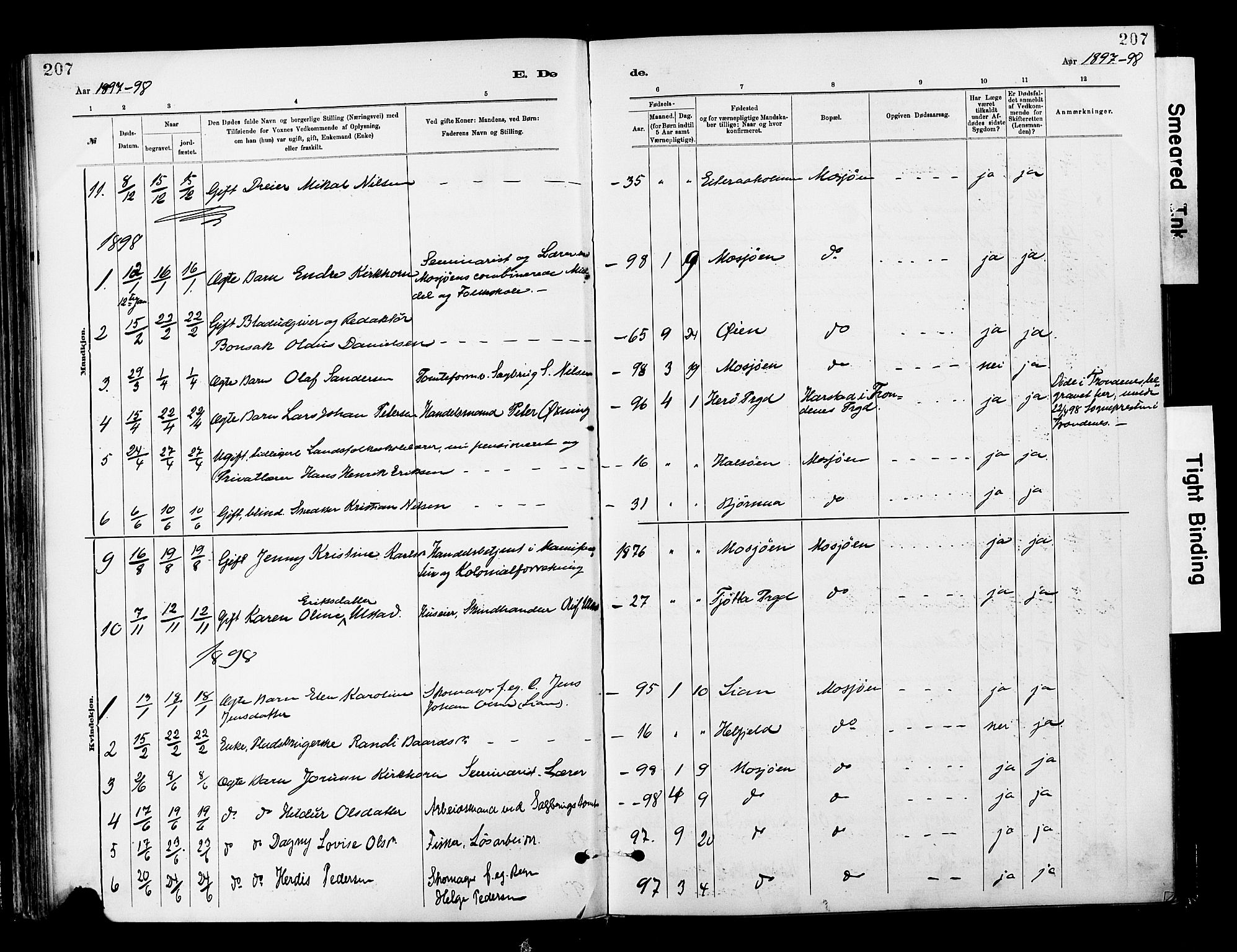 Ministerialprotokoller, klokkerbøker og fødselsregistre - Nordland, AV/SAT-A-1459/820/L0296: Parish register (official) no. 820A17, 1880-1903, p. 207