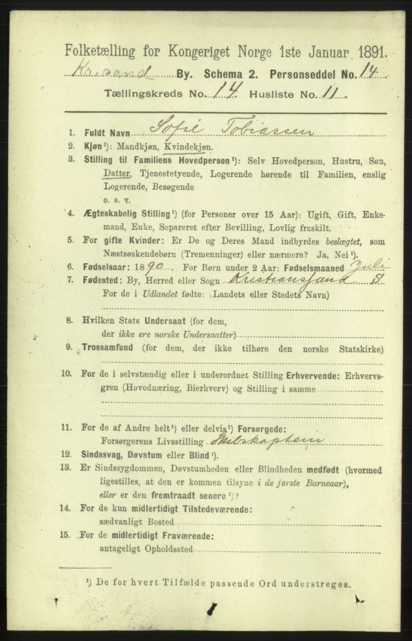 RA, 1891 census for 1001 Kristiansand, 1891, p. 6313