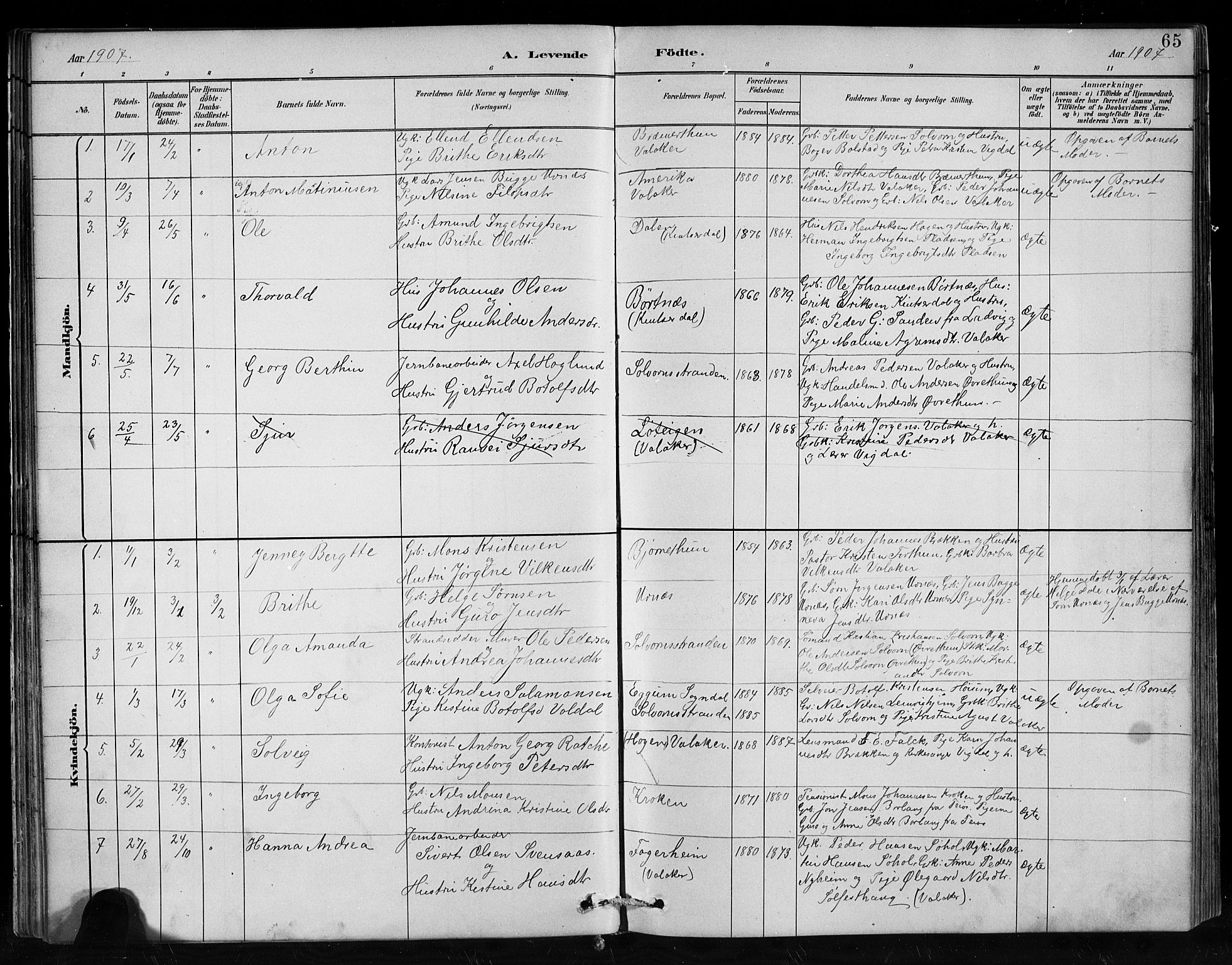 Hafslo sokneprestembete, AV/SAB-A-80301/H/Hab/Habc/L0001: Parish register (copy) no. C 1, 1882-1908, p. 65