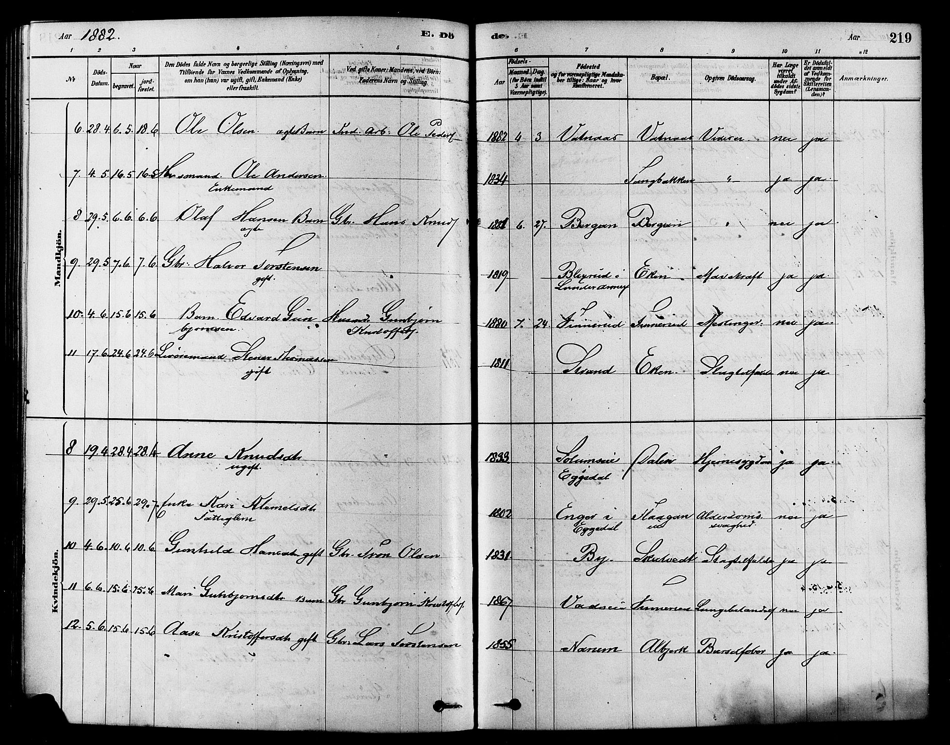 Sigdal kirkebøker, SAKO/A-245/F/Fa/L0011: Parish register (official) no. I 11, 1879-1887, p. 219