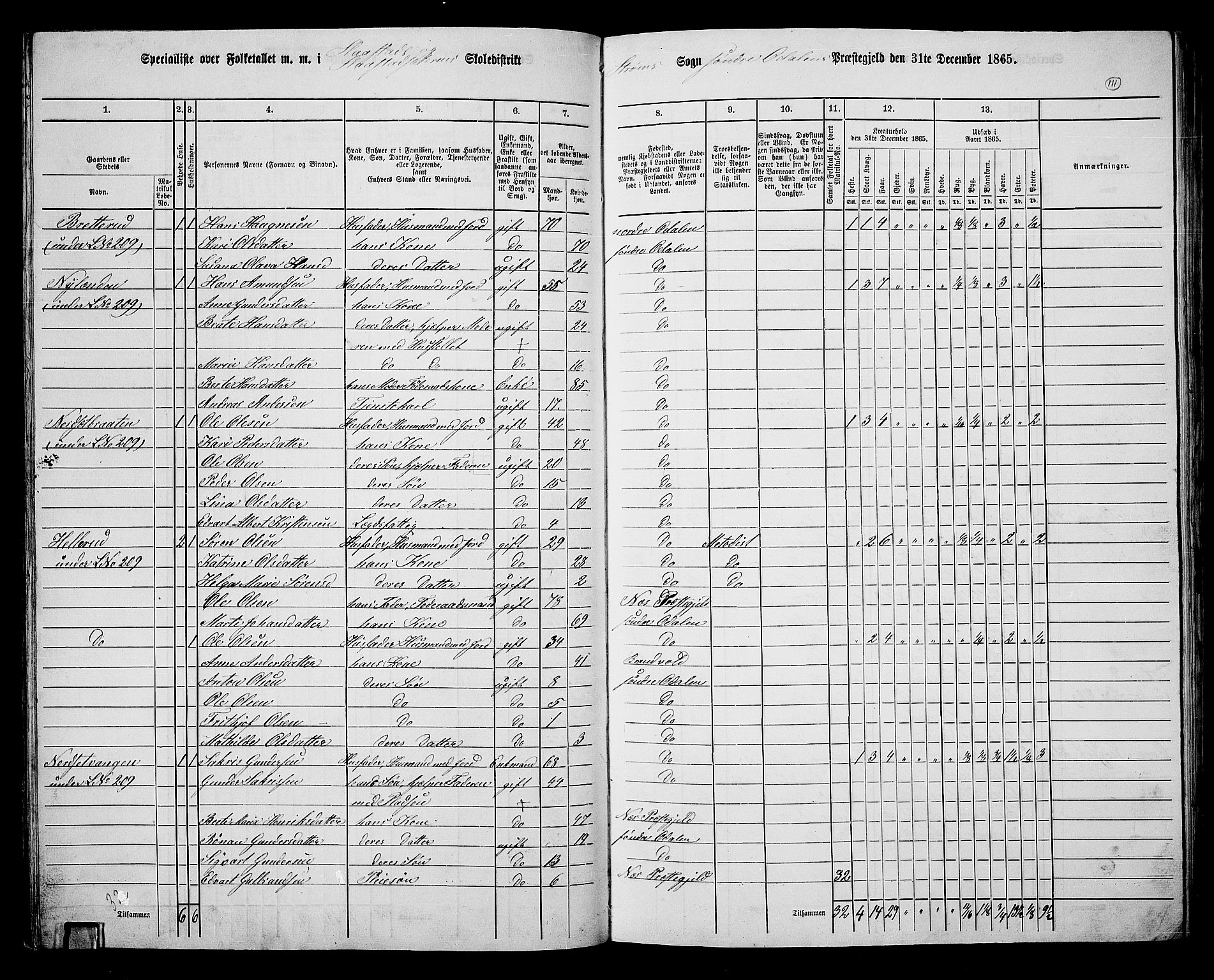 RA, 1865 census for Sør-Odal, 1865, p. 101