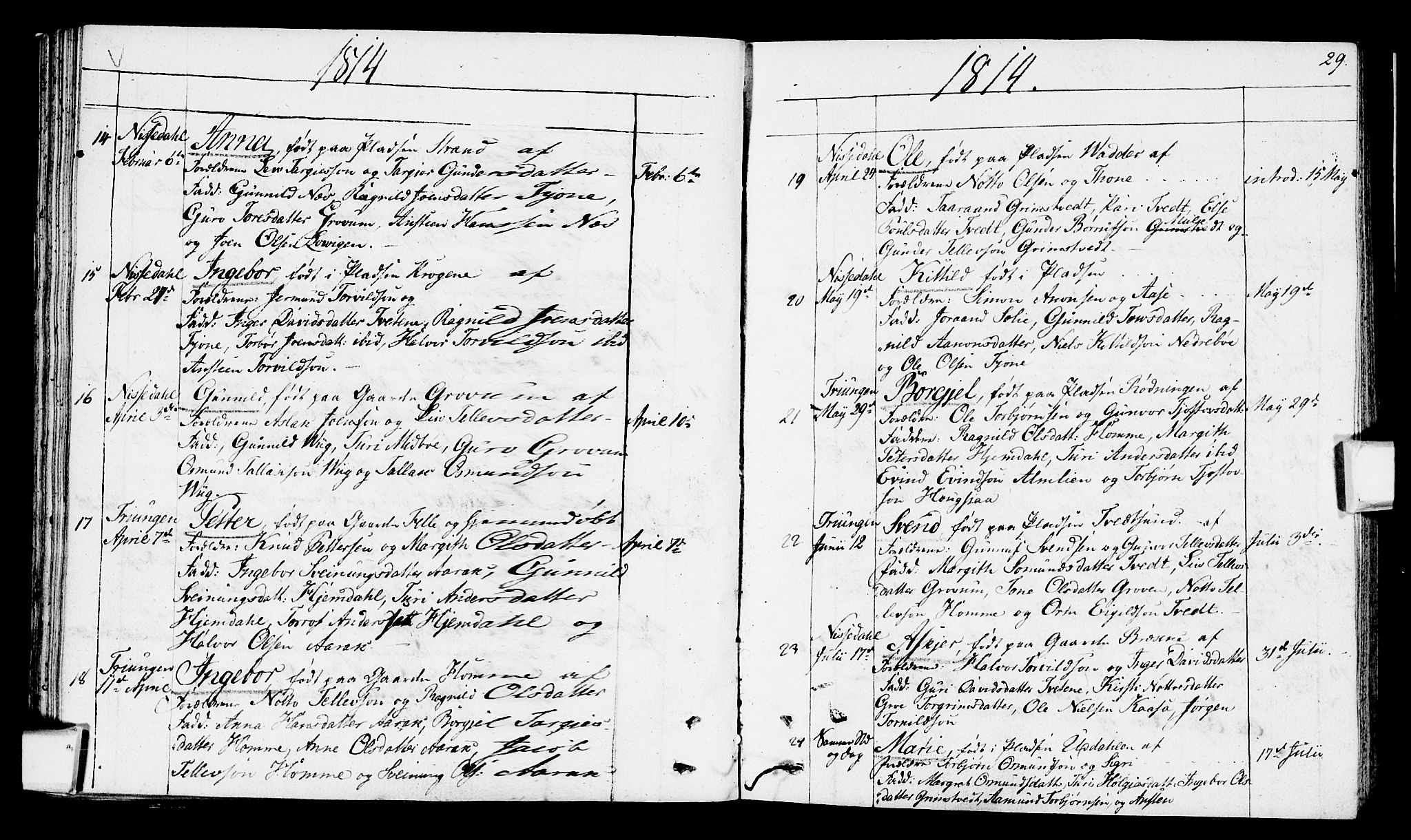 Nissedal kirkebøker, SAKO/A-288/F/Fa/L0001: Parish register (official) no. I 1, 1811-1814, p. 29