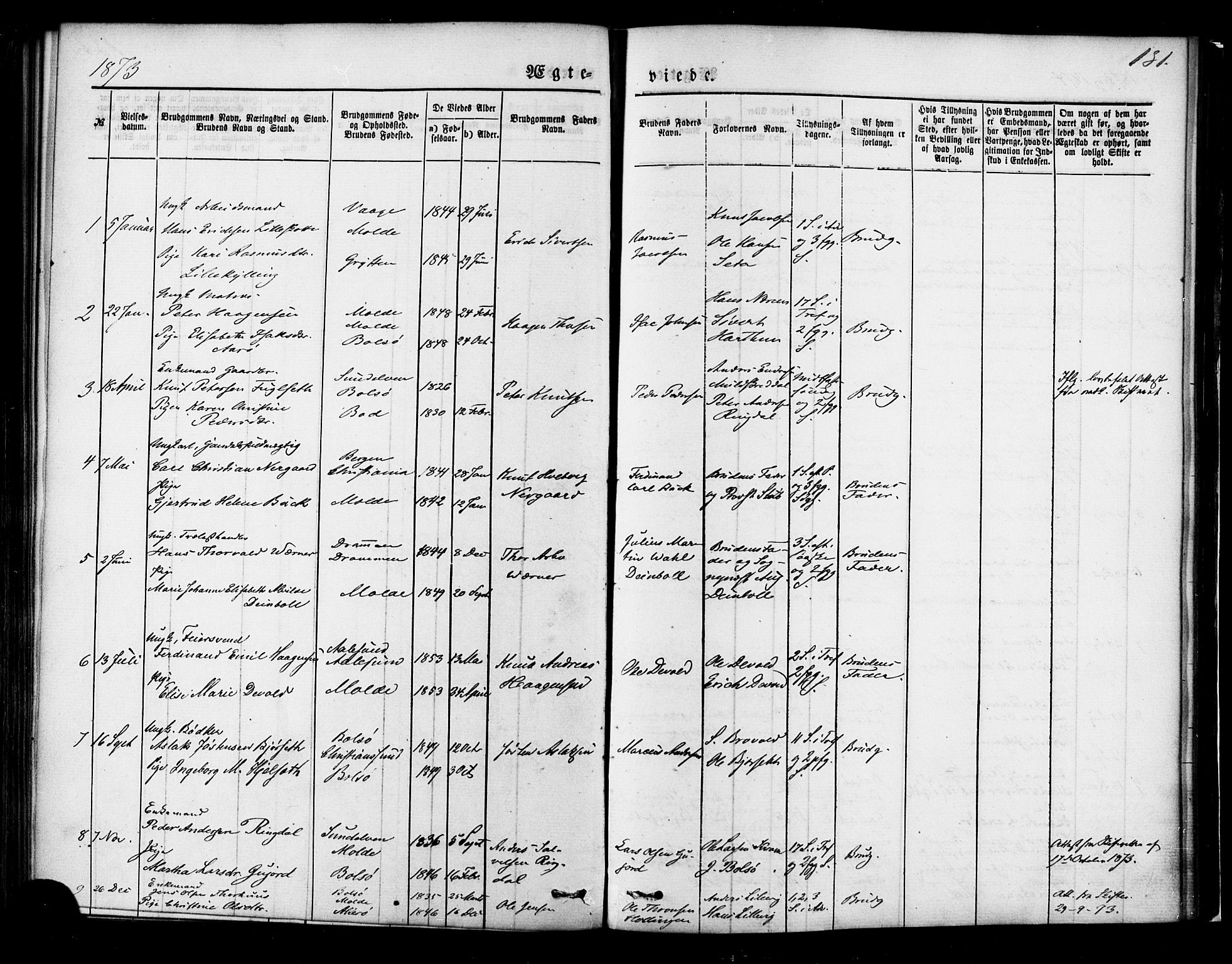 Ministerialprotokoller, klokkerbøker og fødselsregistre - Møre og Romsdal, SAT/A-1454/558/L0691: Parish register (official) no. 558A05, 1873-1886, p. 131