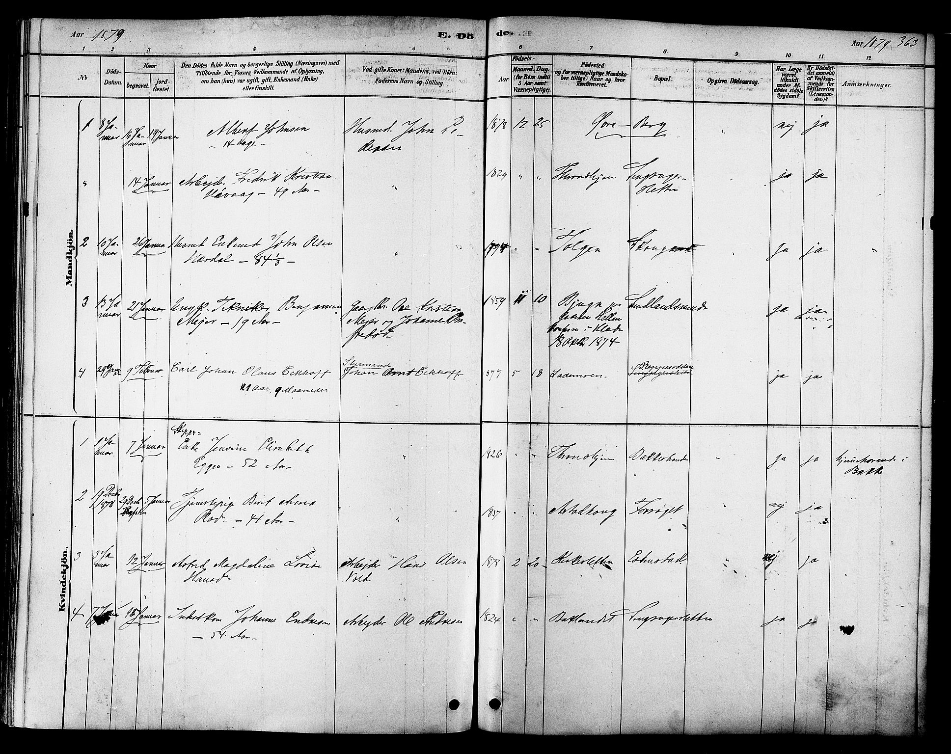 Ministerialprotokoller, klokkerbøker og fødselsregistre - Sør-Trøndelag, SAT/A-1456/606/L0294: Parish register (official) no. 606A09, 1878-1886, p. 363