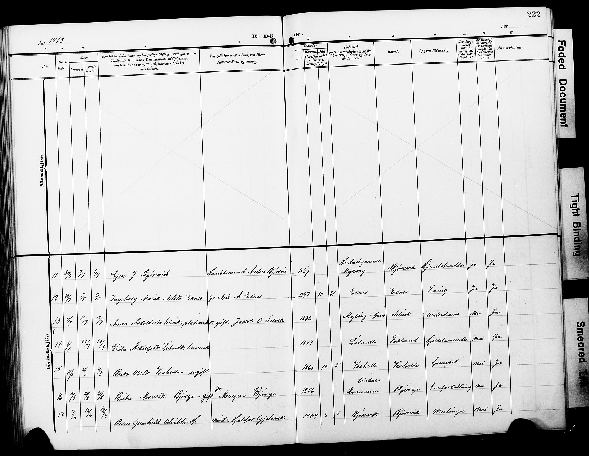 Hosanger sokneprestembete, AV/SAB-A-75801/H/Hab: Parish register (copy) no. A 4, 1904-1927, p. 222