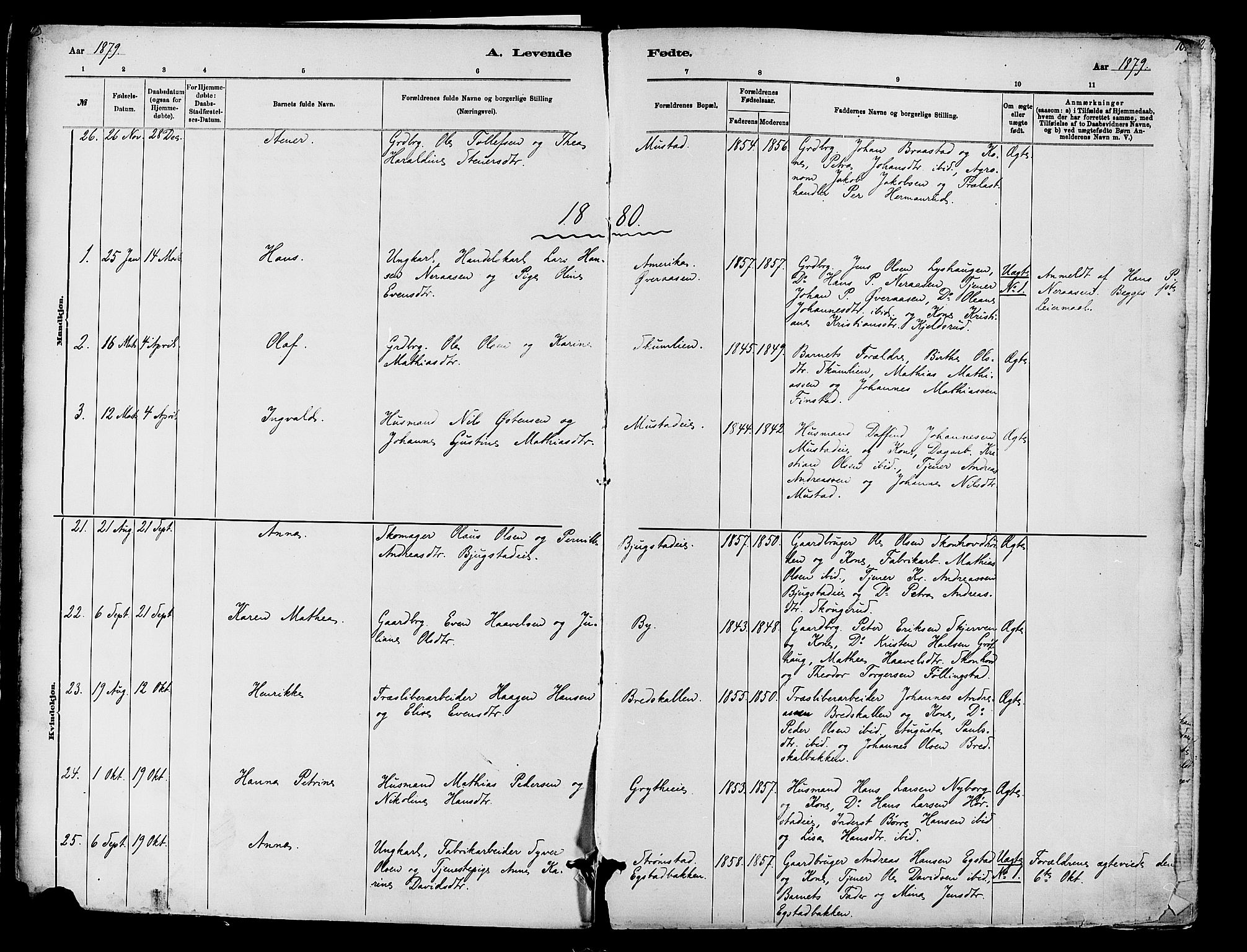 Vardal prestekontor, SAH/PREST-100/H/Ha/Haa/L0010: Parish register (official) no. 10, 1878-1893, p. 10