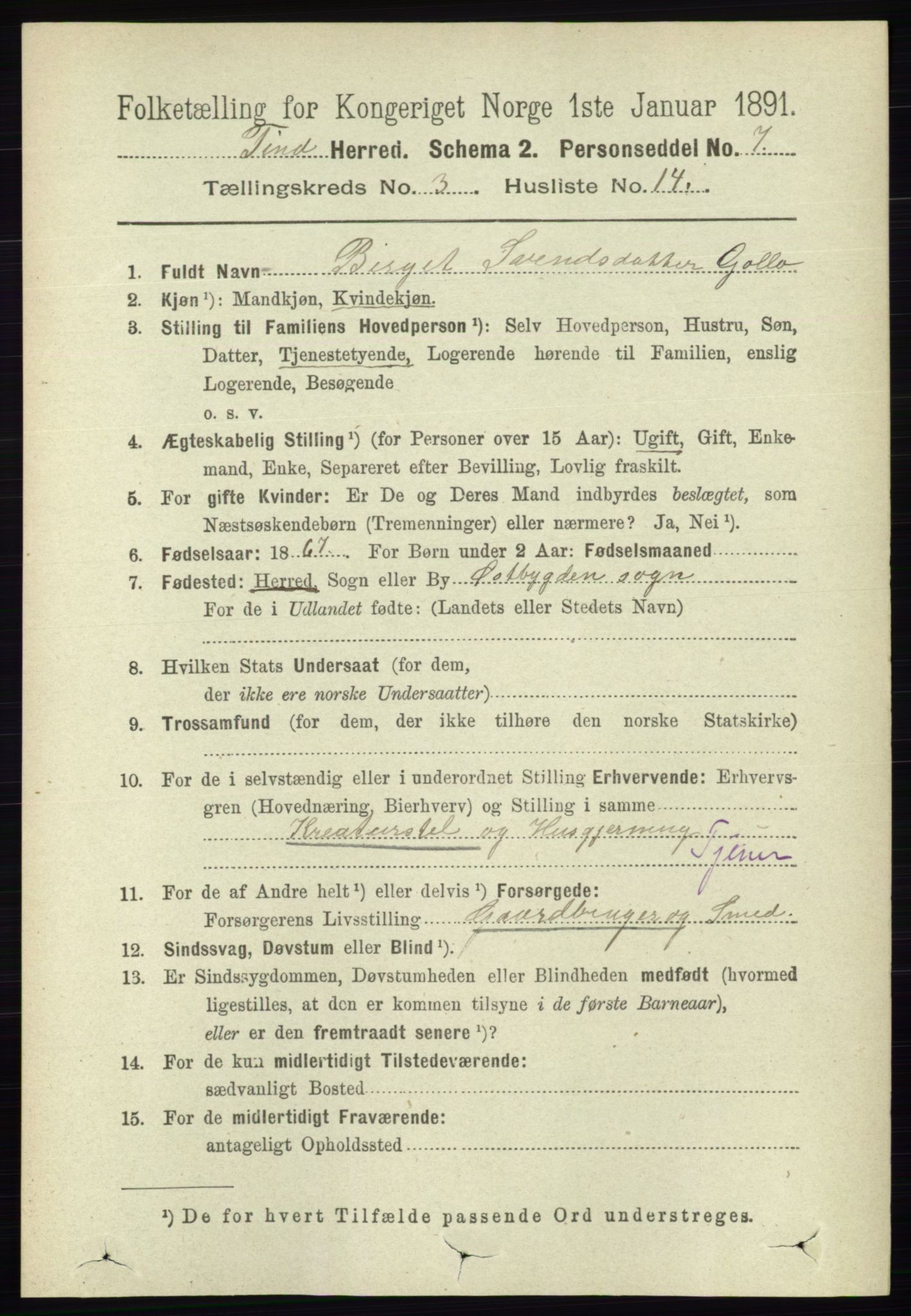 RA, 1891 census for 0826 Tinn, 1891, p. 581