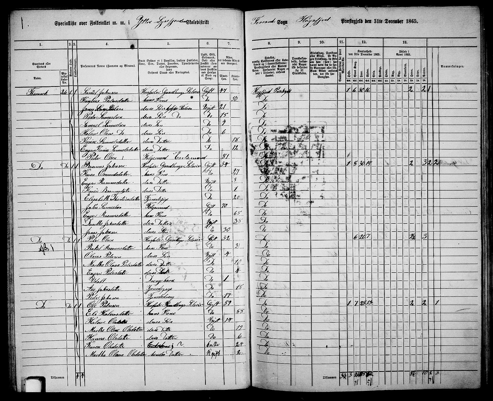 RA, 1865 census for Høgsfjord, 1865, p. 39