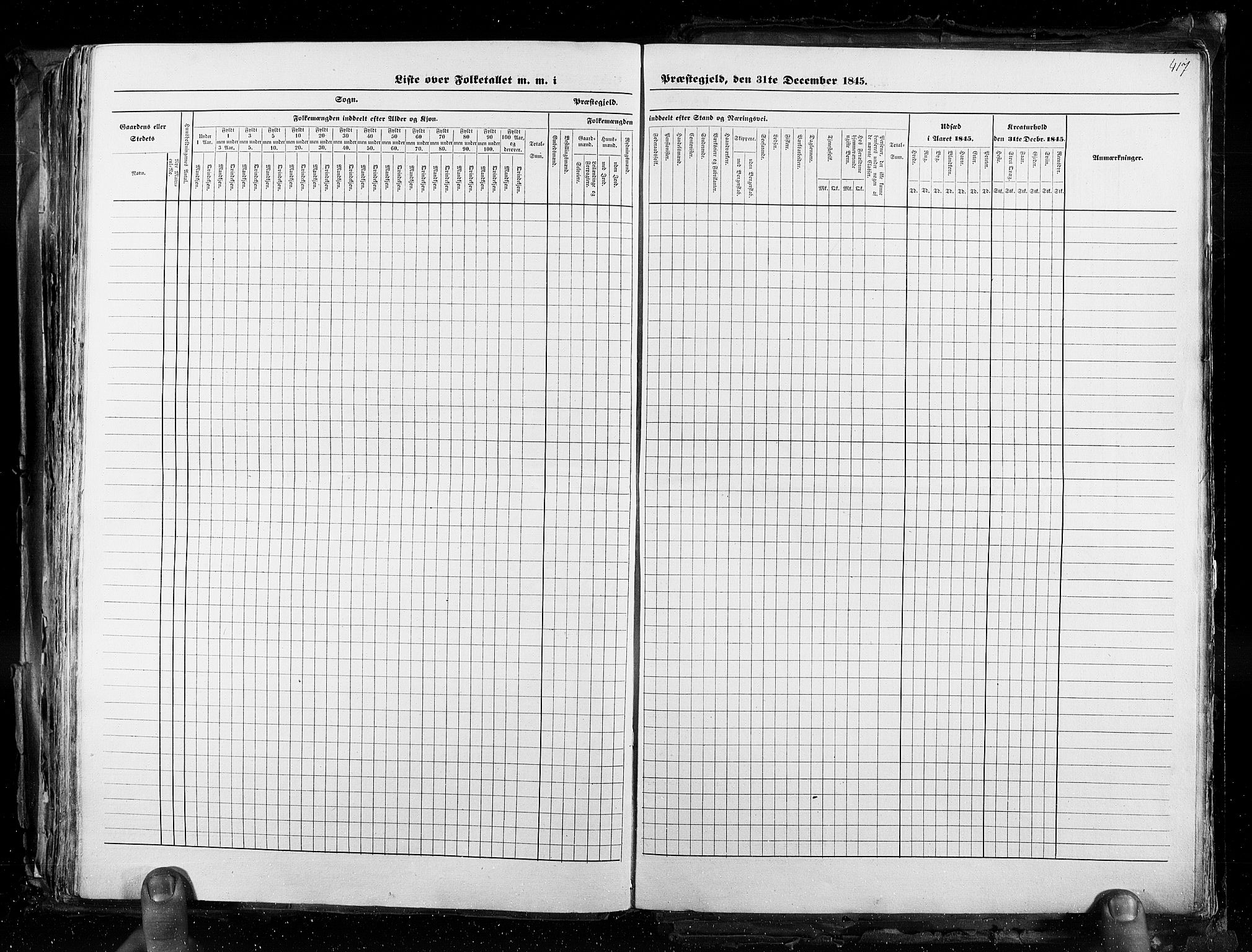 RA, Census 1845, vol. 3: Hedemarken amt og Kristians amt, 1845, p. 417