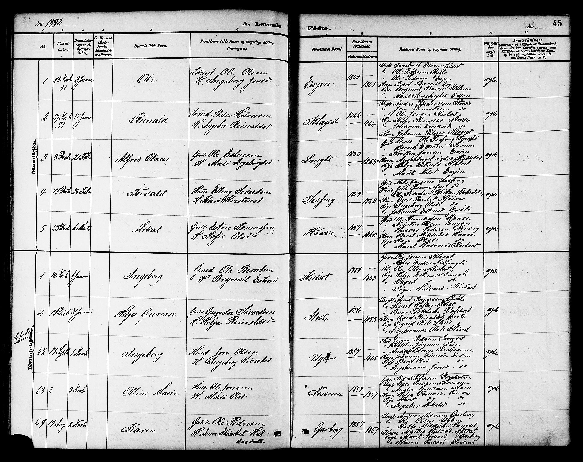 Ministerialprotokoller, klokkerbøker og fødselsregistre - Sør-Trøndelag, SAT/A-1456/695/L1157: Parish register (copy) no. 695C08, 1889-1913, p. 45