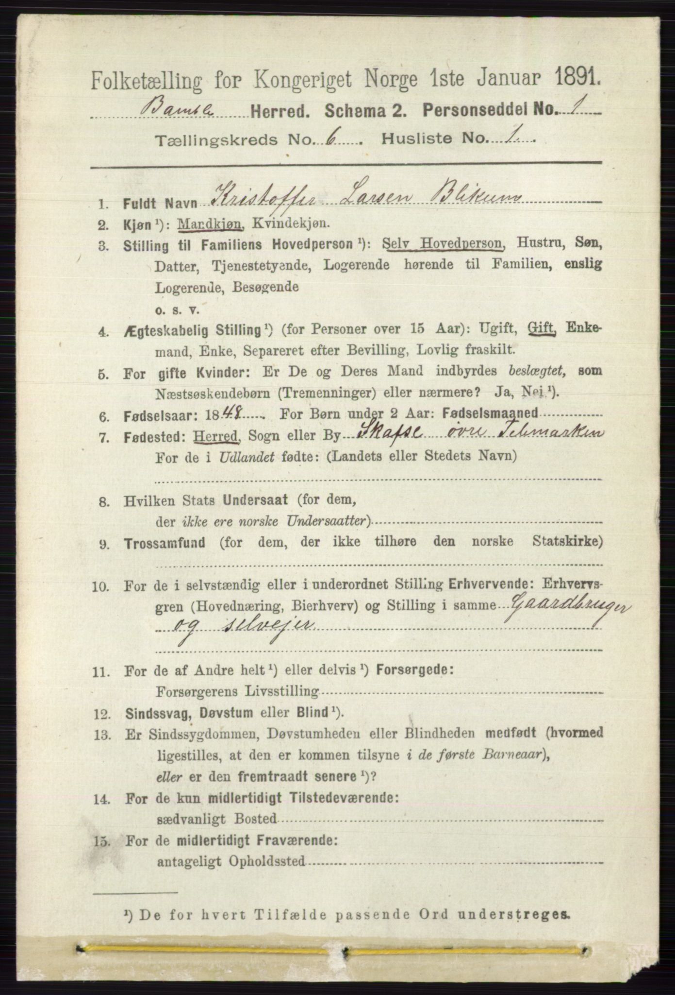 RA, 1891 census for 0814 Bamble, 1891, p. 2694