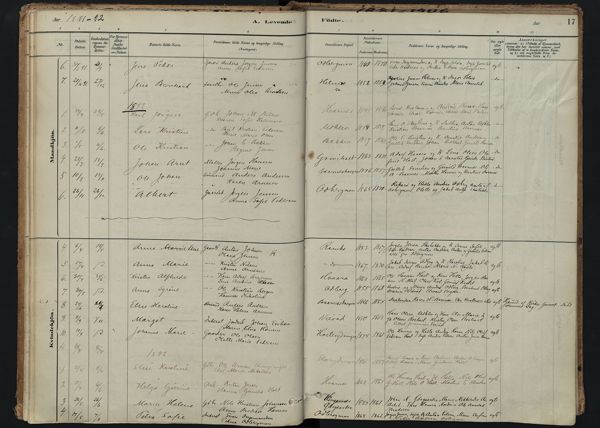 Hedrum kirkebøker, SAKO/A-344/F/Fc/L0001: Parish register (official) no. III 1, 1881-1906, p. 17