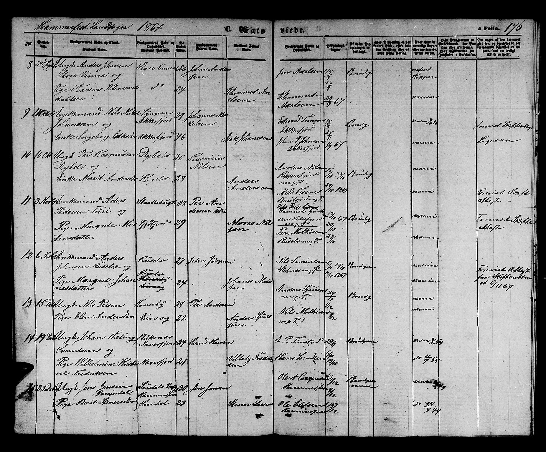 Hammerfest sokneprestkontor, AV/SATØ-S-1347/H/Hb/L0003.klokk: Parish register (copy) no. 3 /2, 1863-1868, p. 176