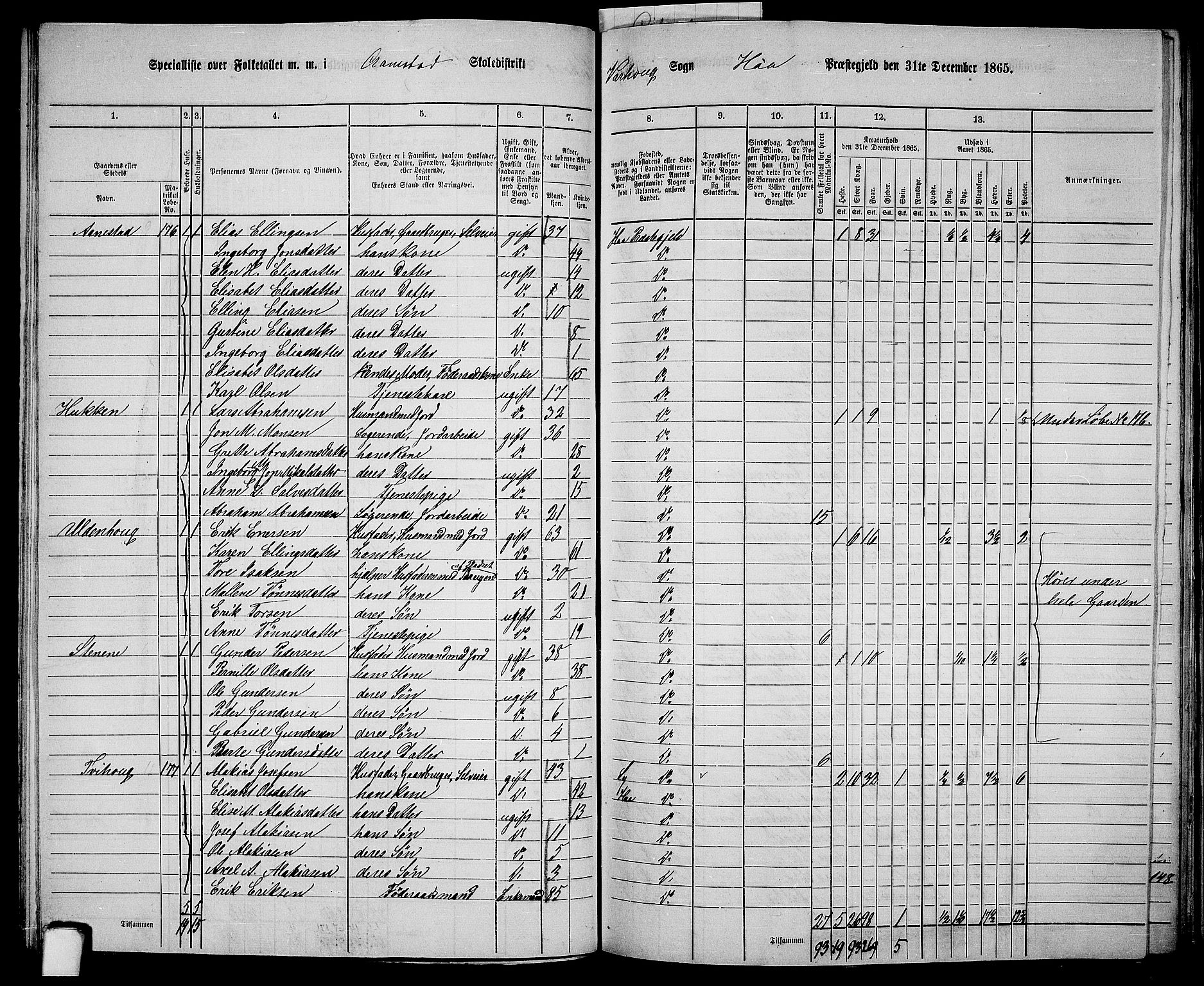 RA, 1865 census for Hå, 1865, p. 63