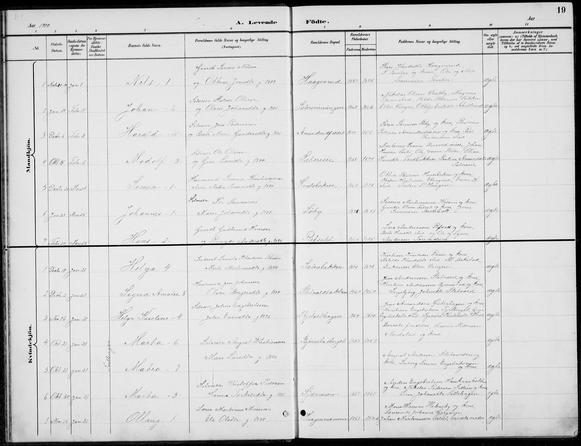 Romedal prestekontor, AV/SAH-PREST-004/L/L0013: Parish register (copy) no. 13, 1896-1937, p. 19